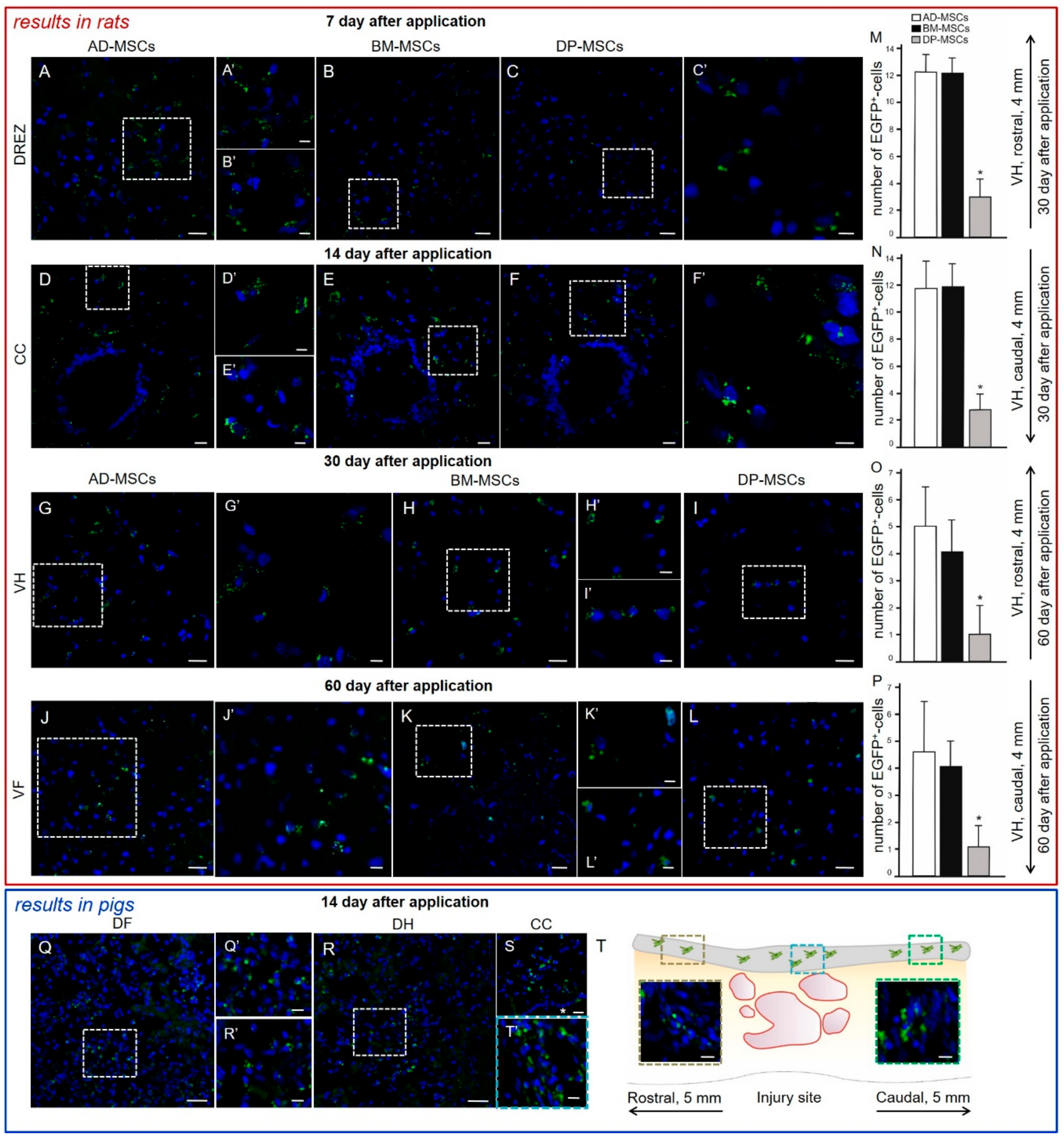 Biomolecules 09 00811 g002