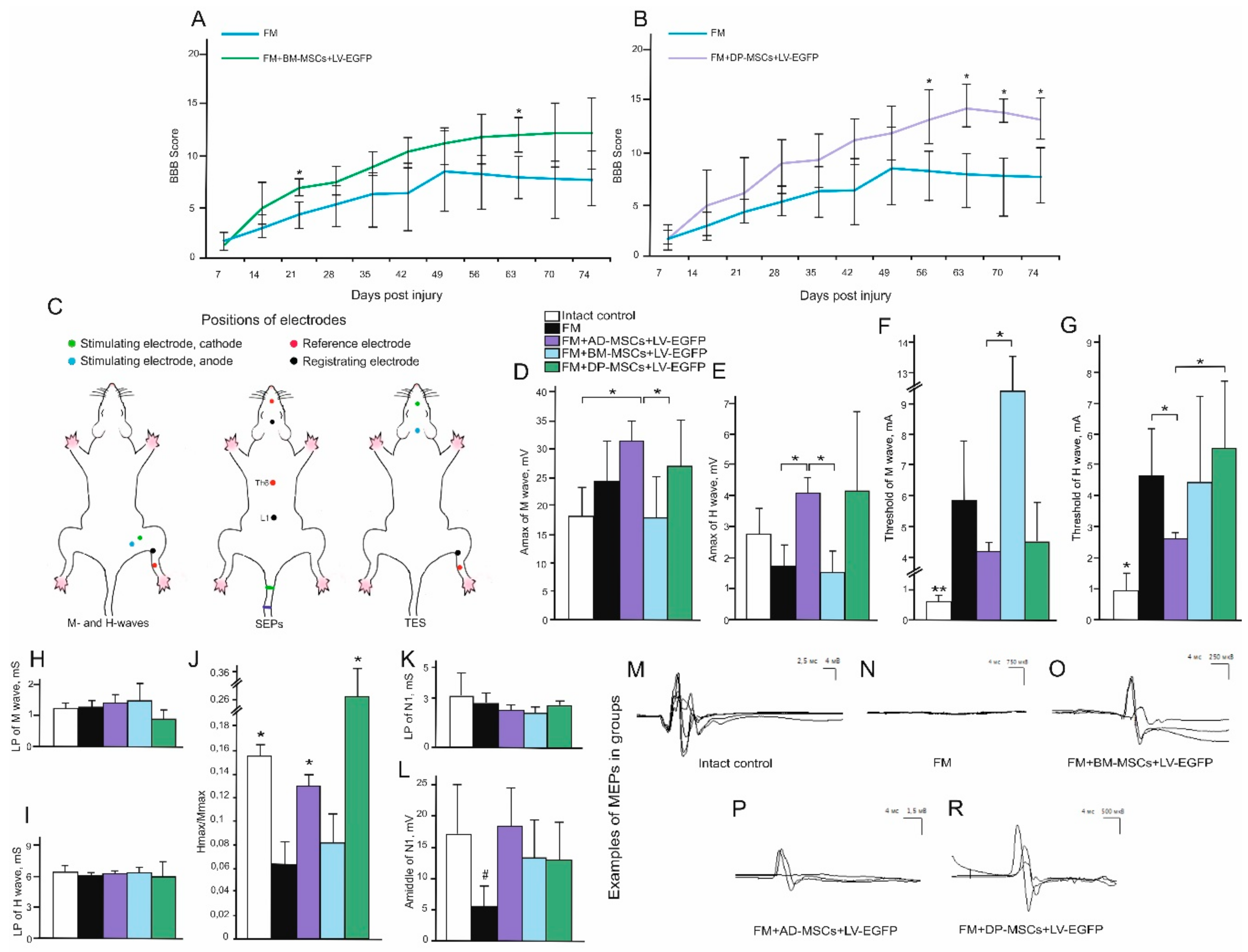 Biomolecules 09 00811 g003