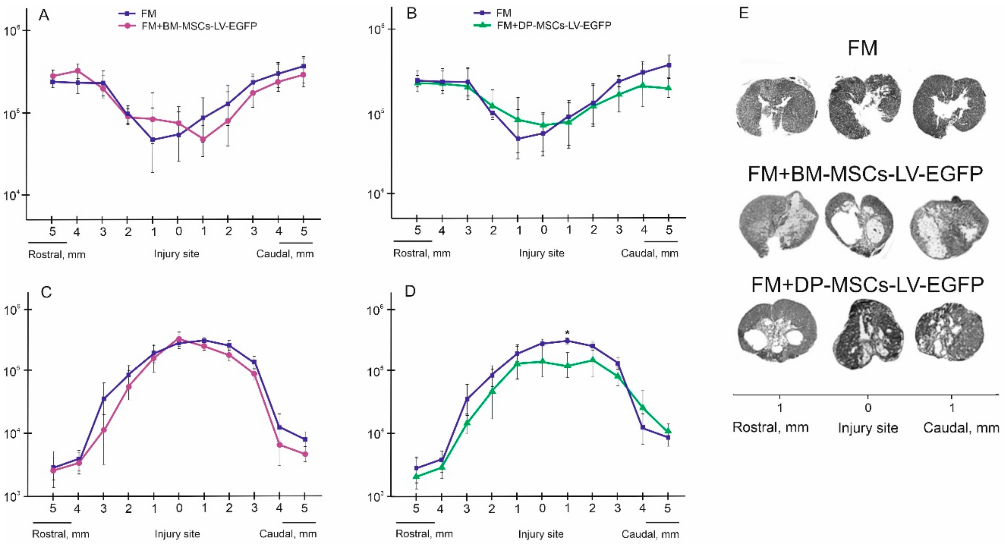Biomolecules 09 00811 g004