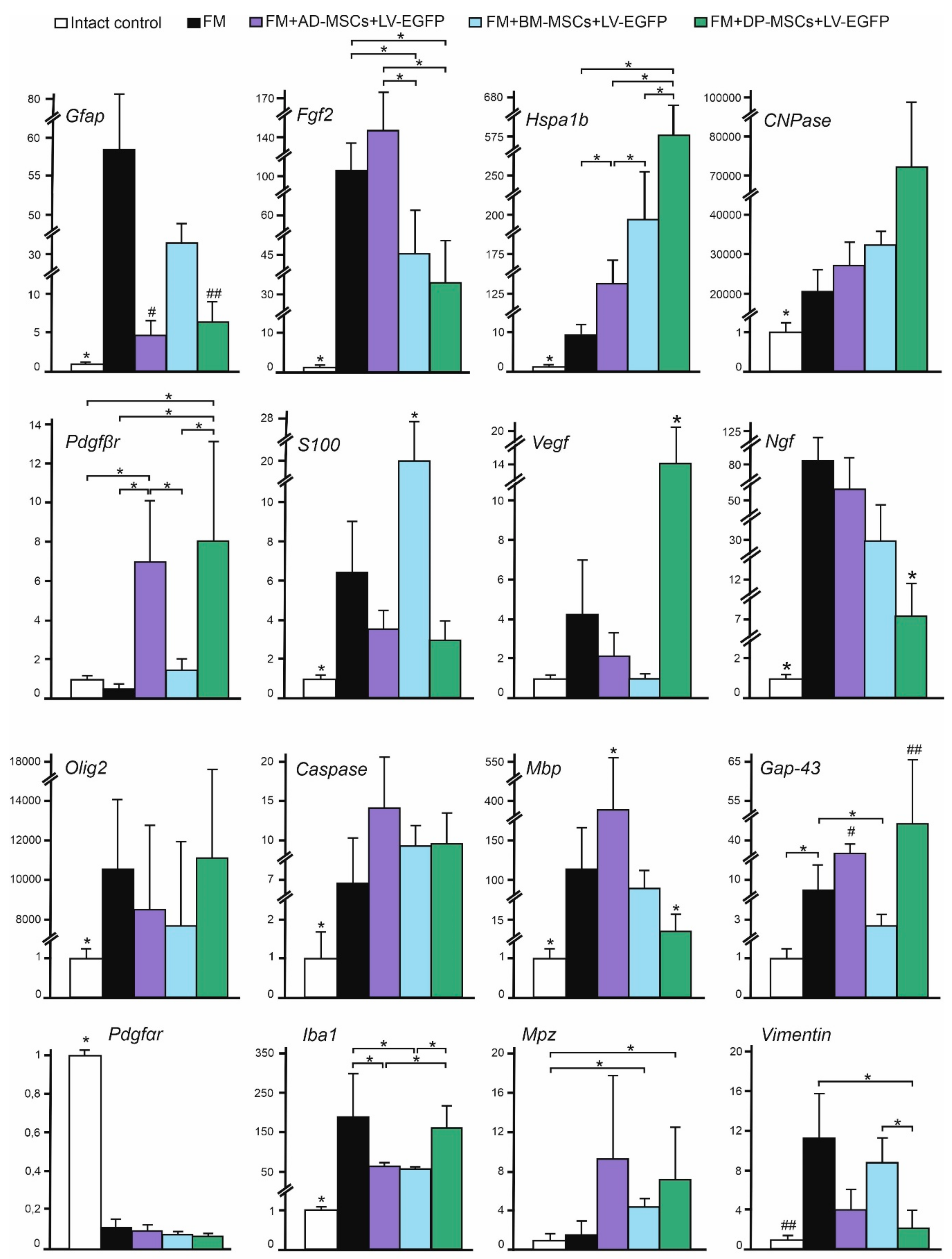 Biomolecules 09 00811 g006