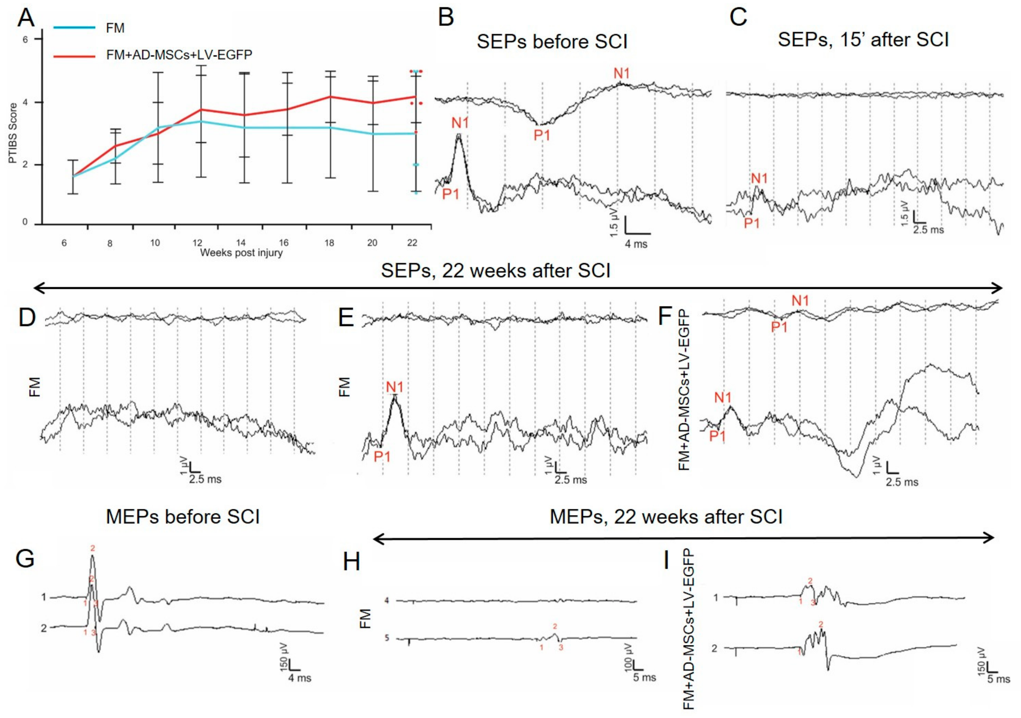 Biomolecules 09 00811 g007