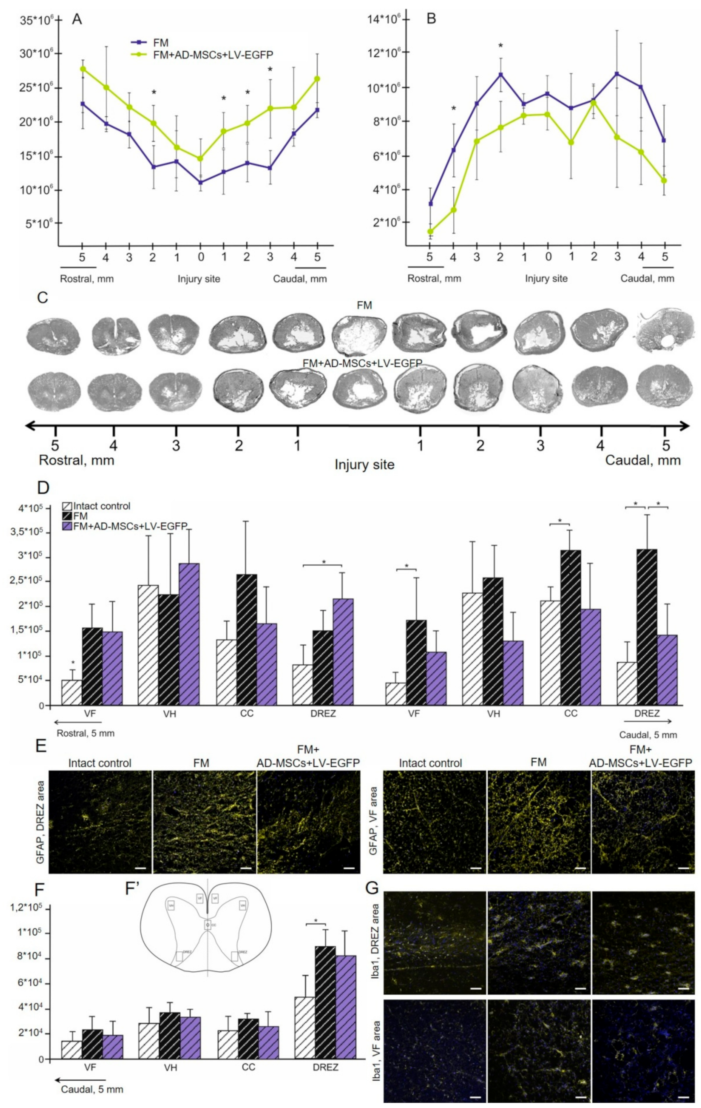 Biomolecules 09 00811 g008