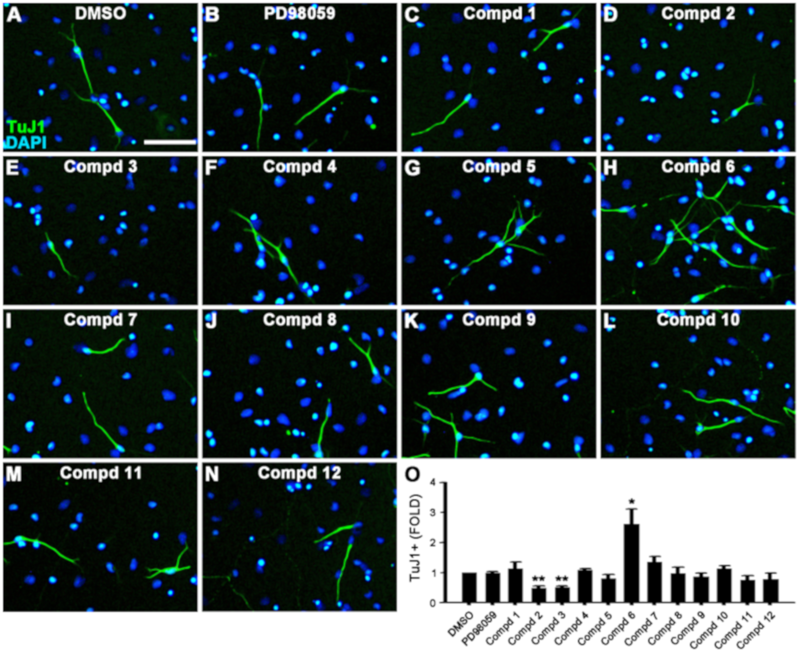 Biomolecules 09 00812 g002