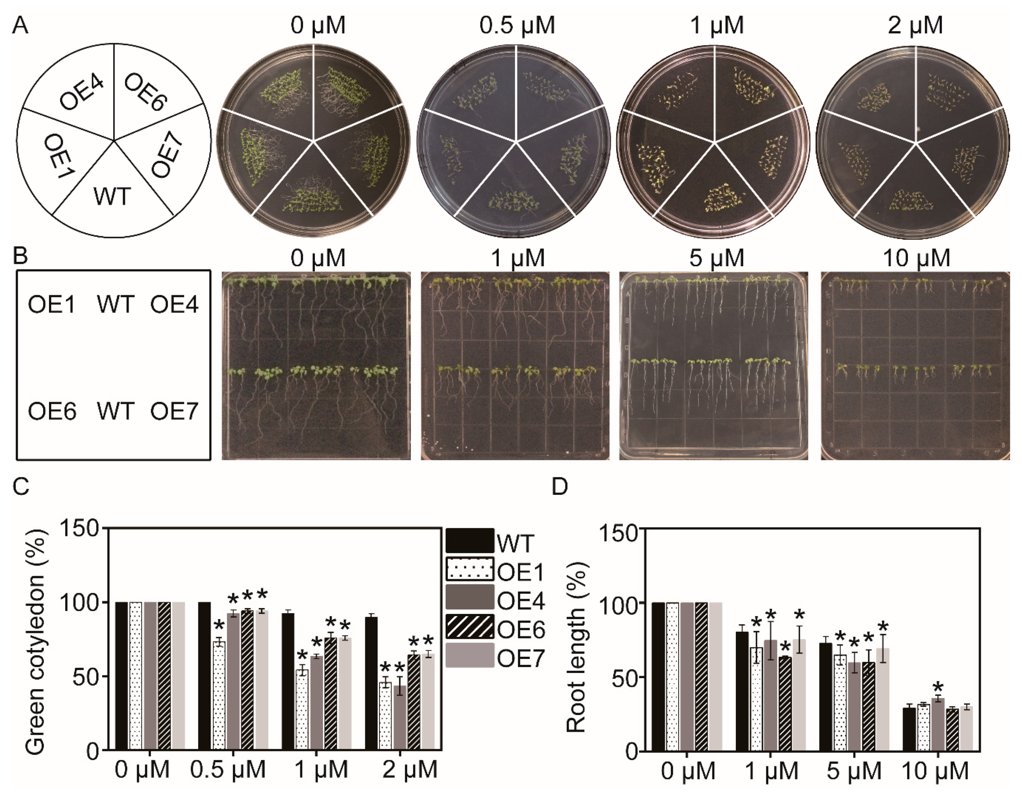 Biomolecules 09 00814 g006