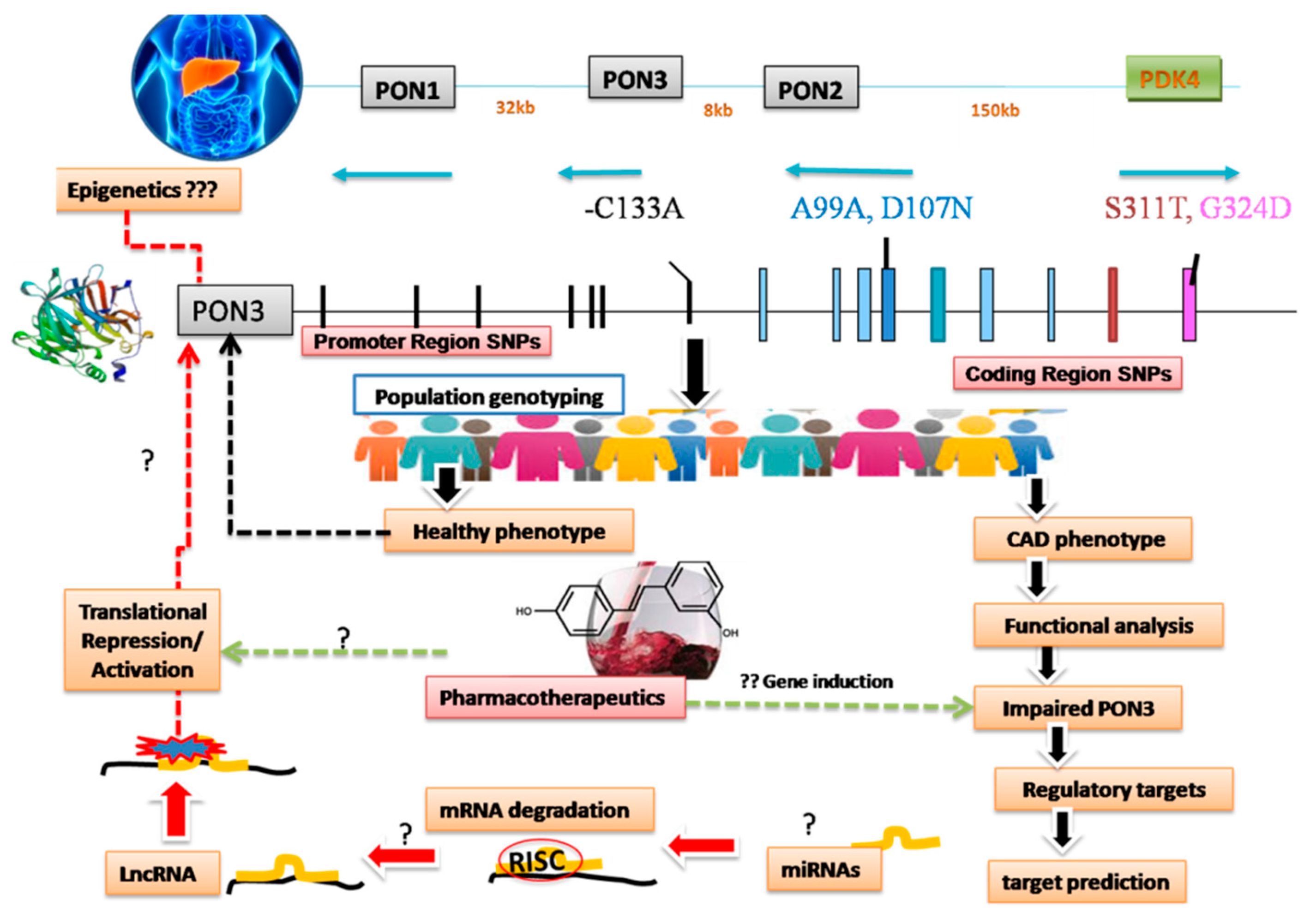 Biomolecules 09 00817 g001