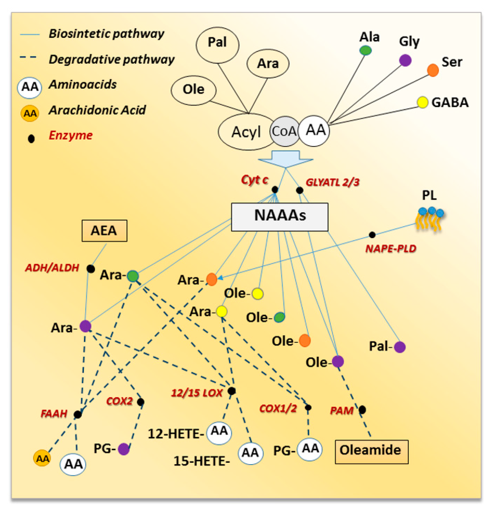 Biomolecules 09 00822 g001