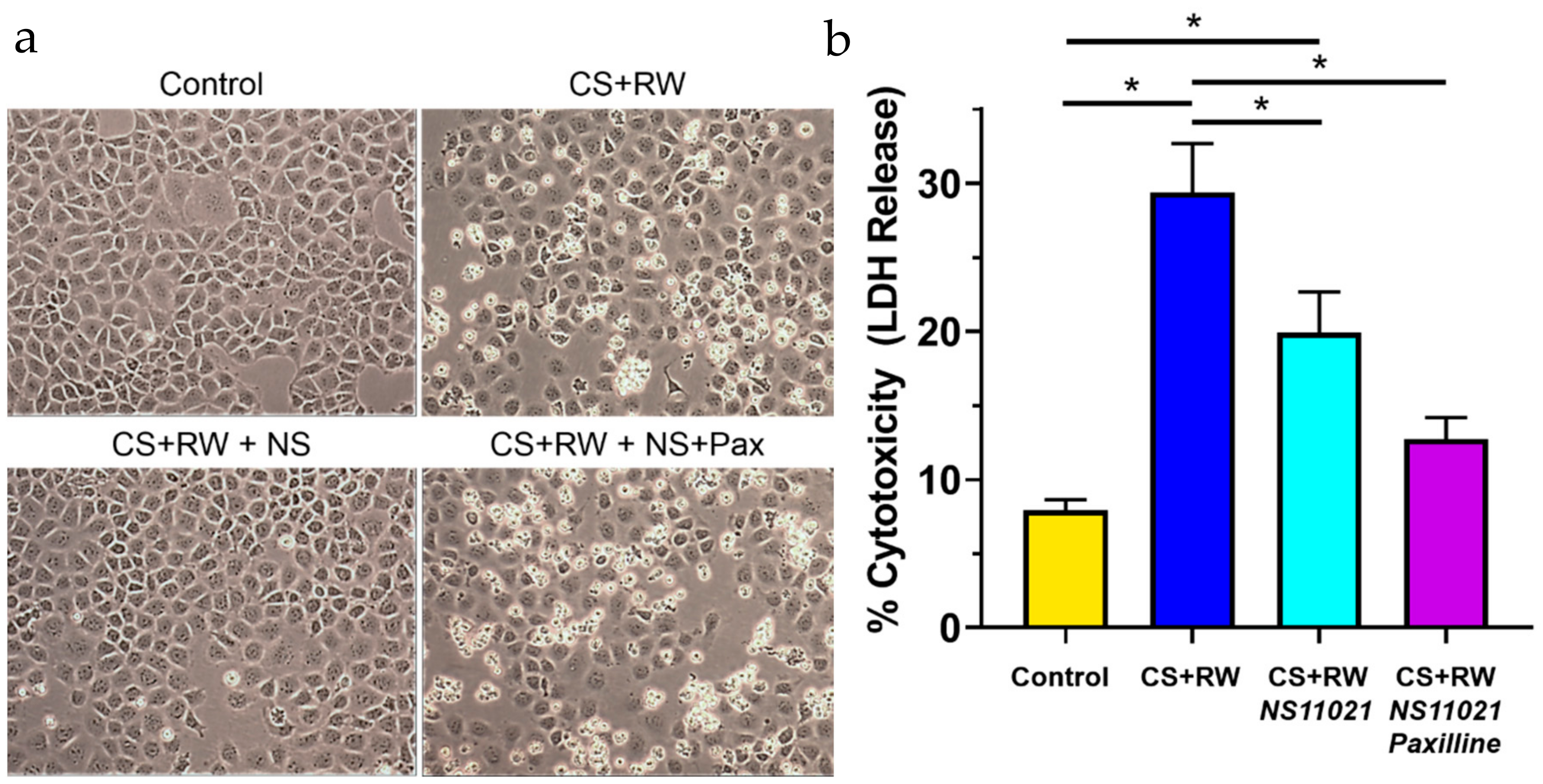 Biomolecules 09 00825 g007 Biomolecules 09 00825 g007