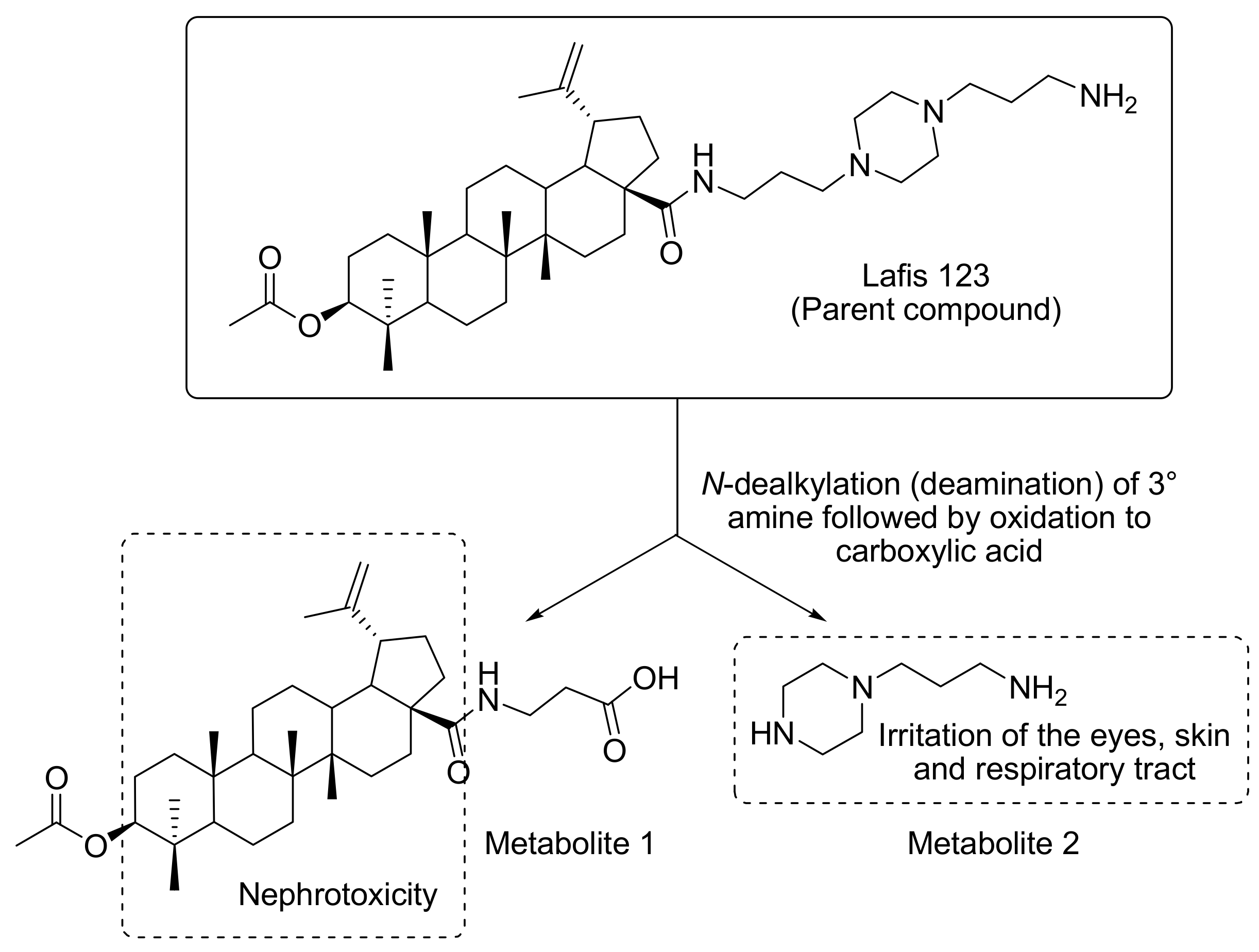 Biomolecules 09 00831 g005 Biomolecules 09 00831 g005