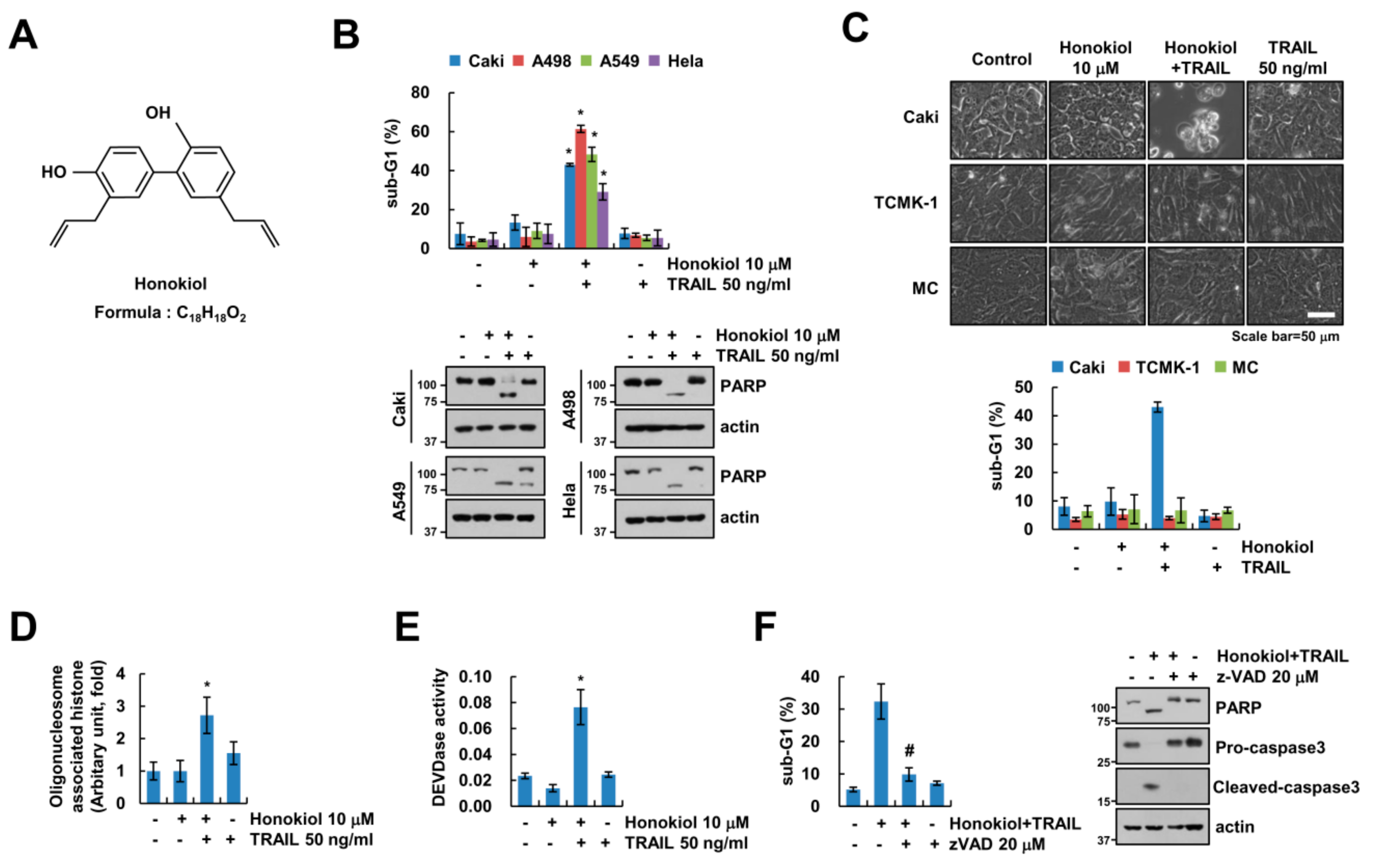 Biomolecules 09 00838 g001 Biomolecules 09 00838 g001