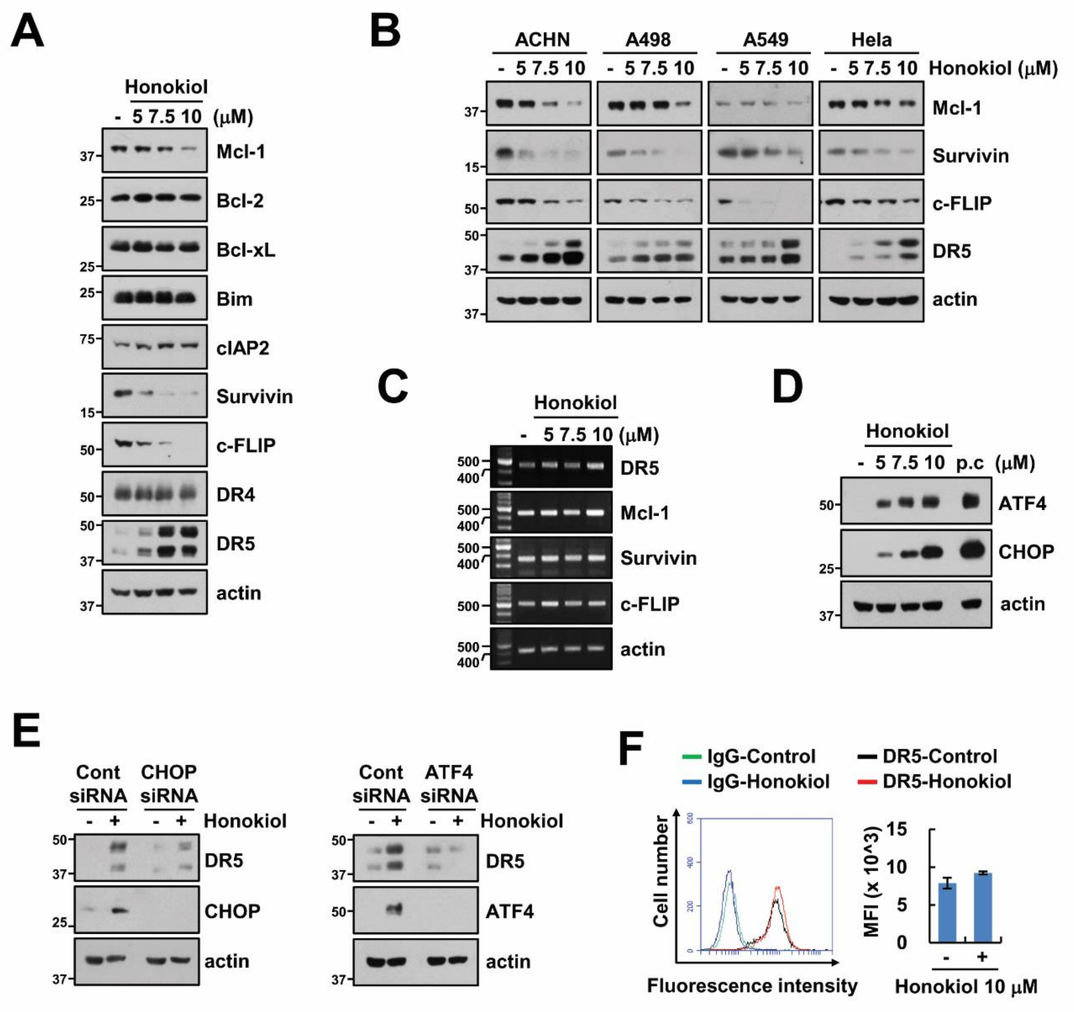 Biomolecules 09 00838 g002 Biomolecules 09 00838 g002