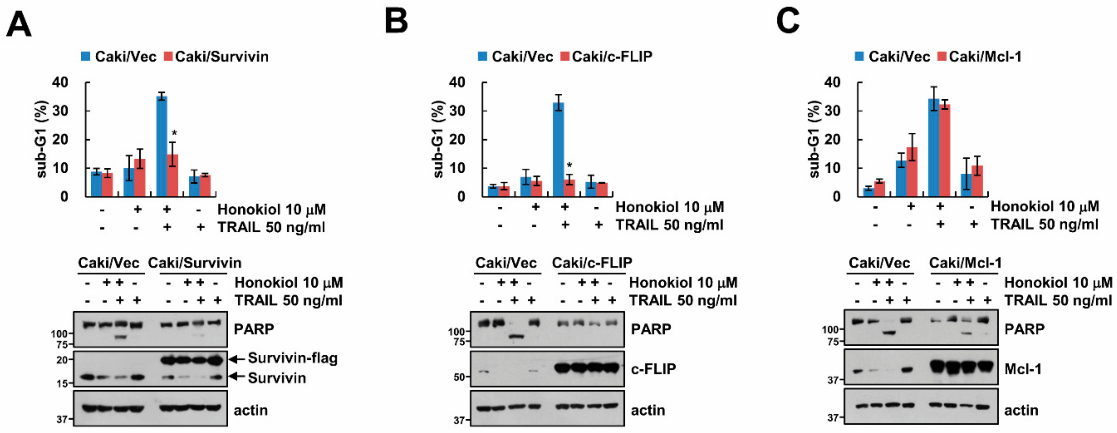 Biomolecules 09 00838 g003 Biomolecules 09 00838 g003