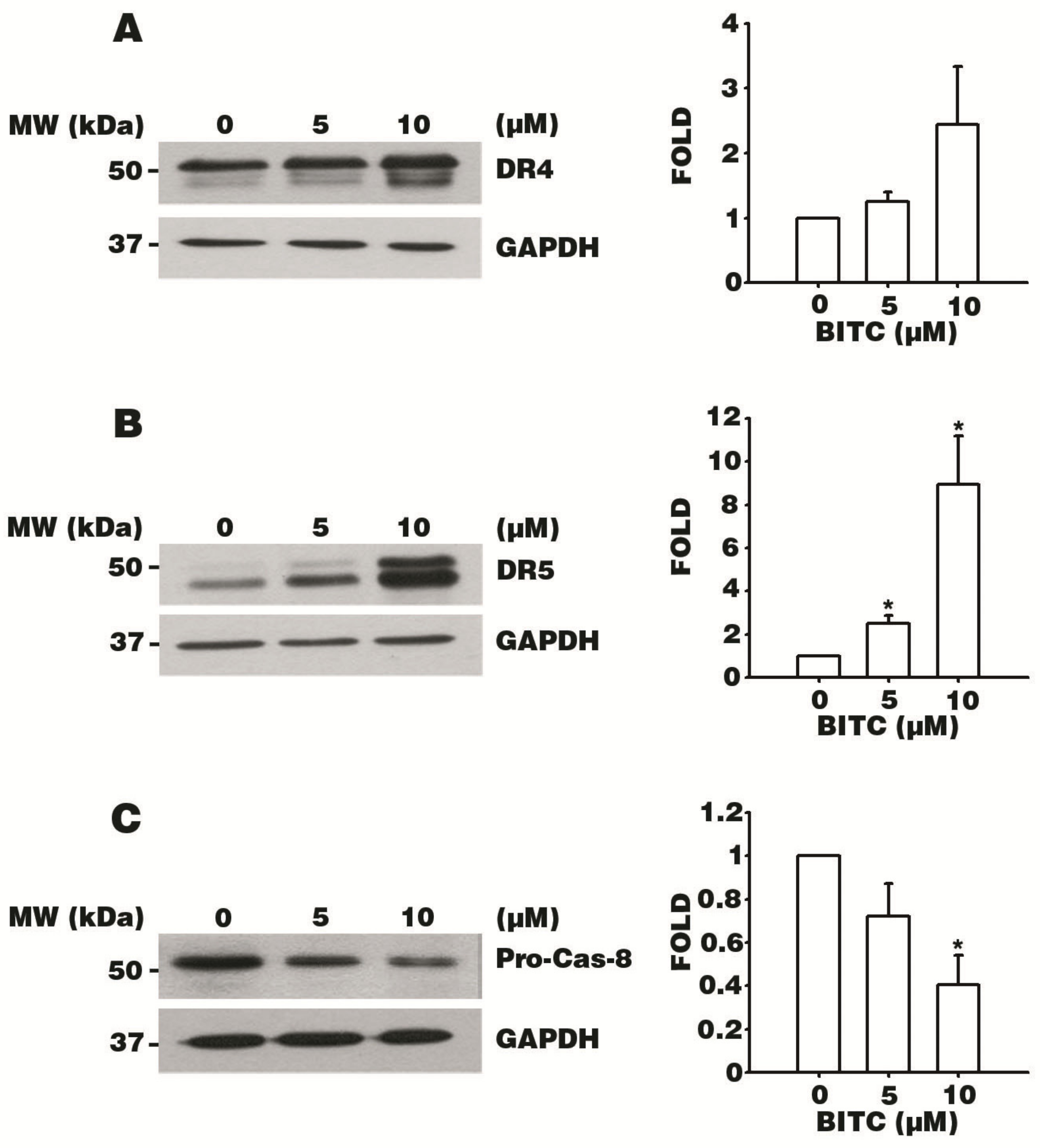 Biomolecules 09 00839 g003