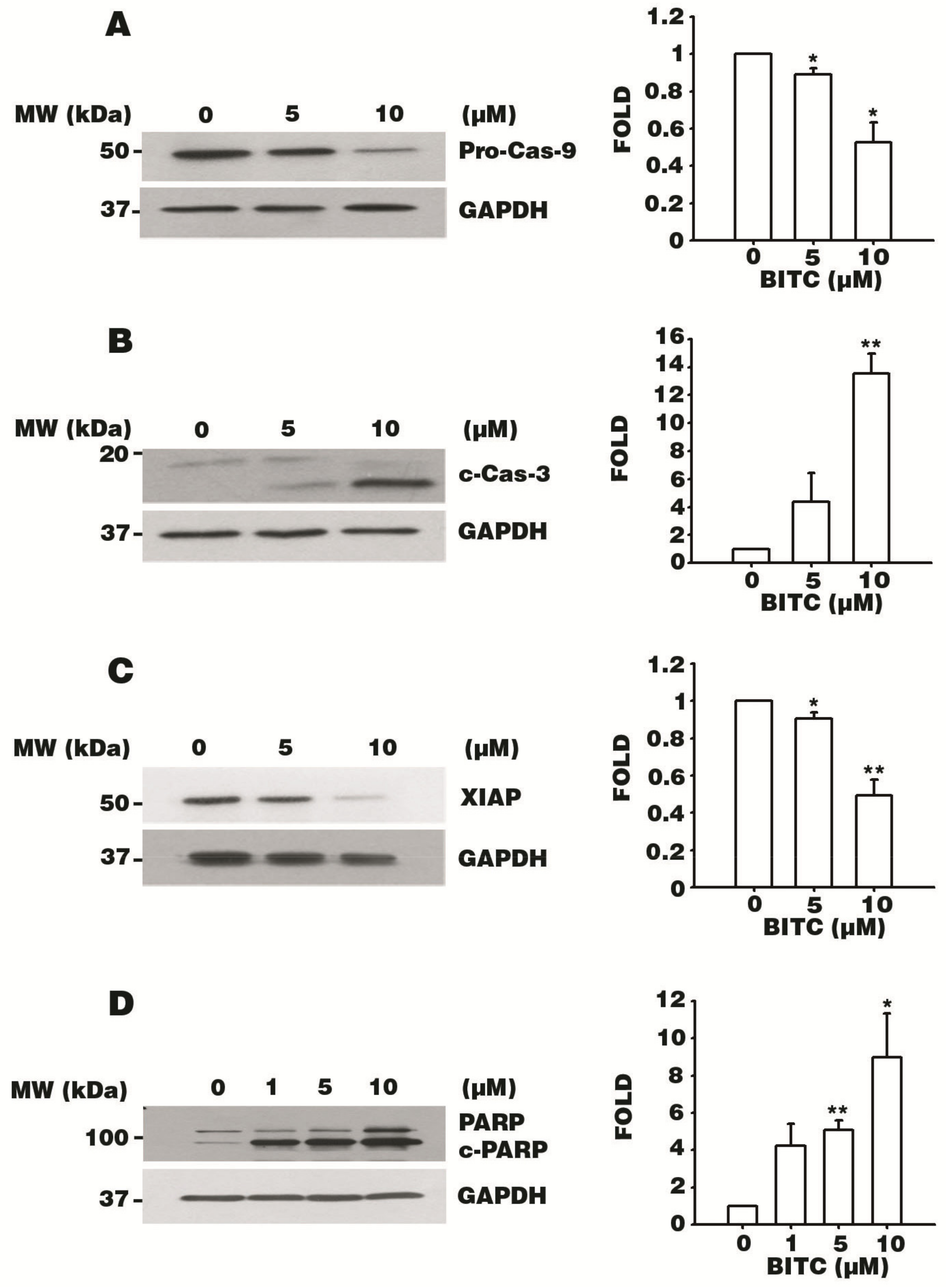 Biomolecules 09 00839 g004