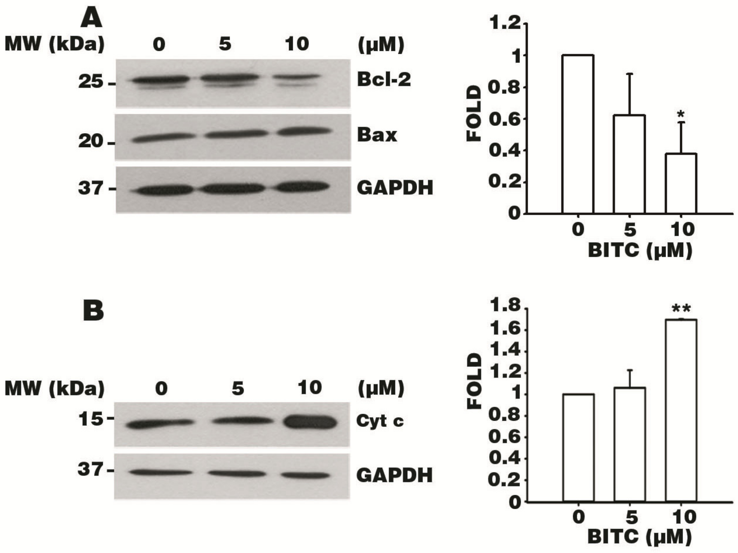 Biomolecules 09 00839 g005
