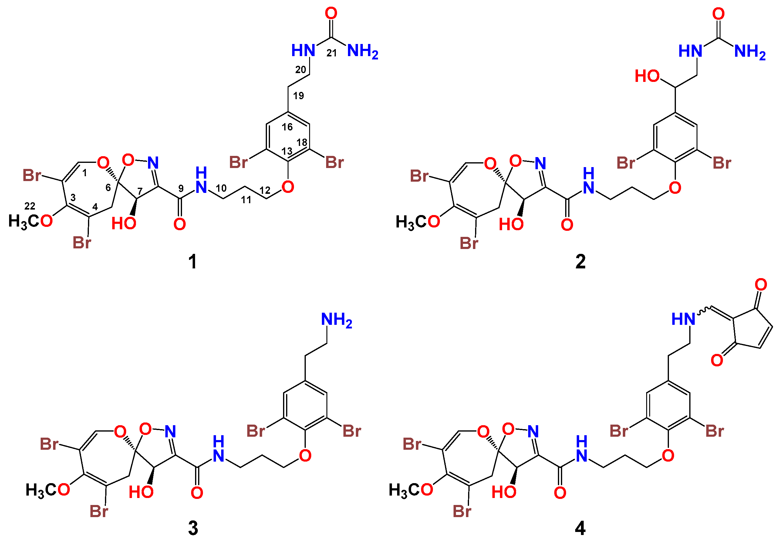 Biomolecules 09 00841 g002 Biomolecules 09 00841 g002