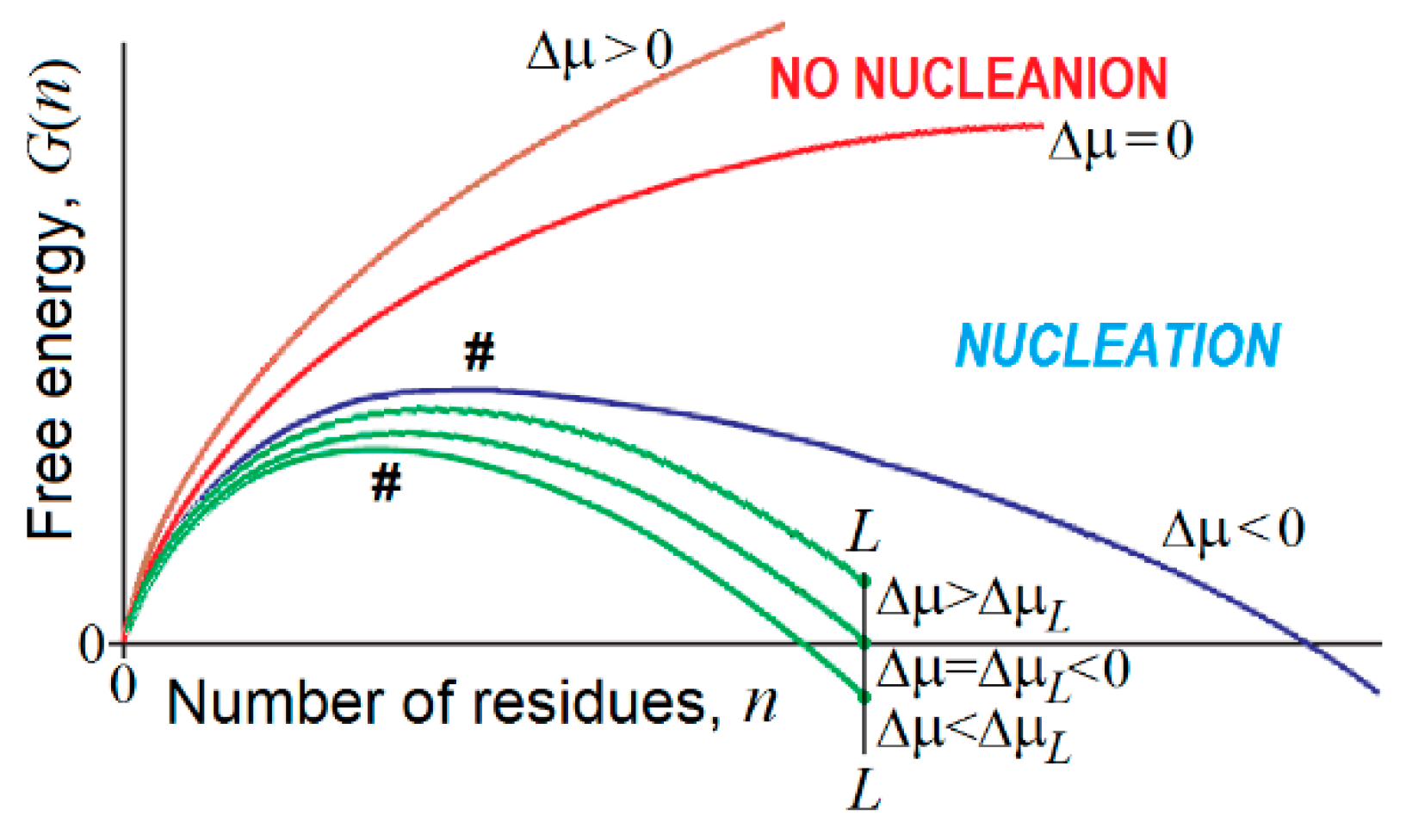 Biomolecules 09 00842 g005 Biomolecules 09 00842 g005