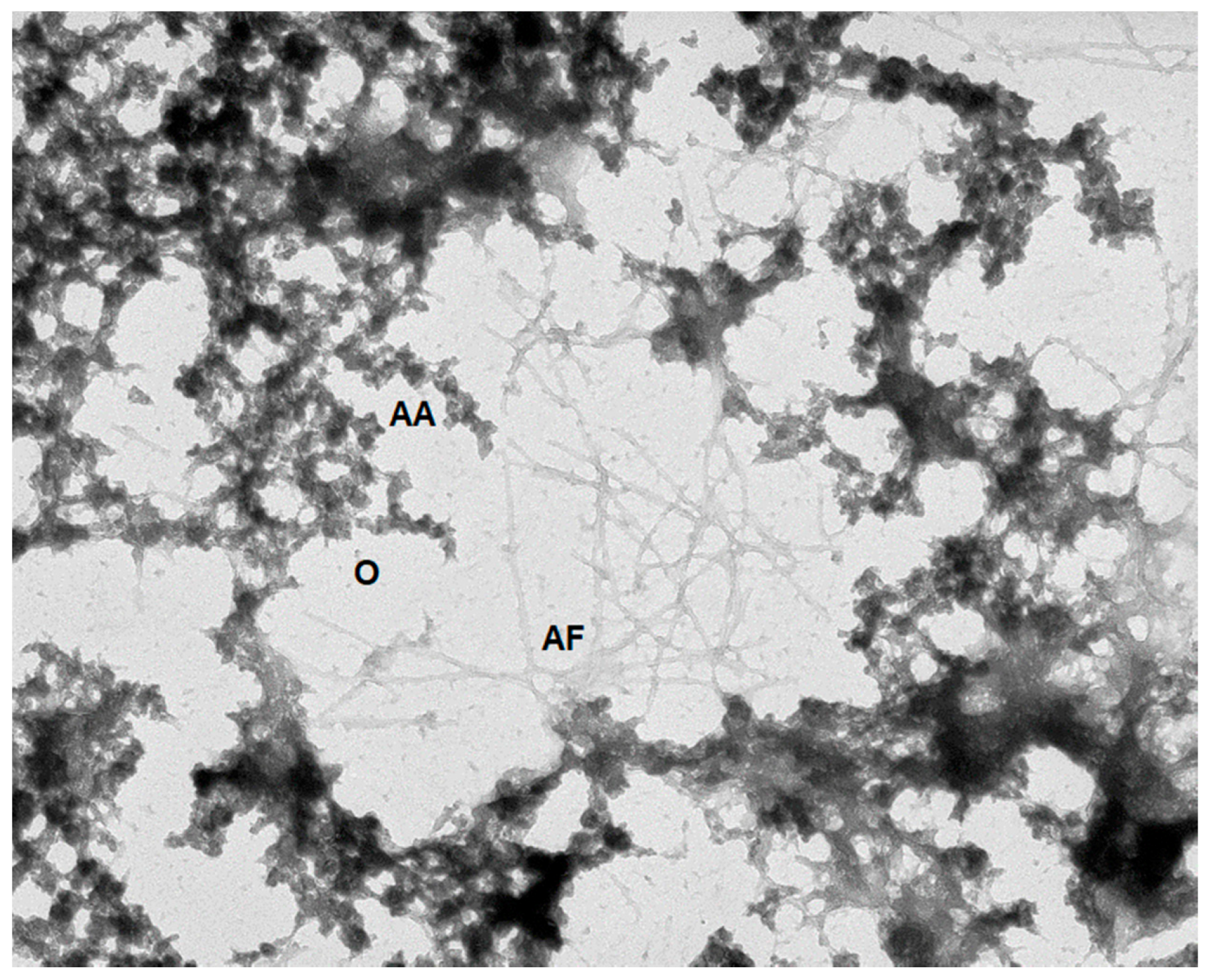 Biomolecules 09 00842 g008 Biomolecules 09 00842 g008