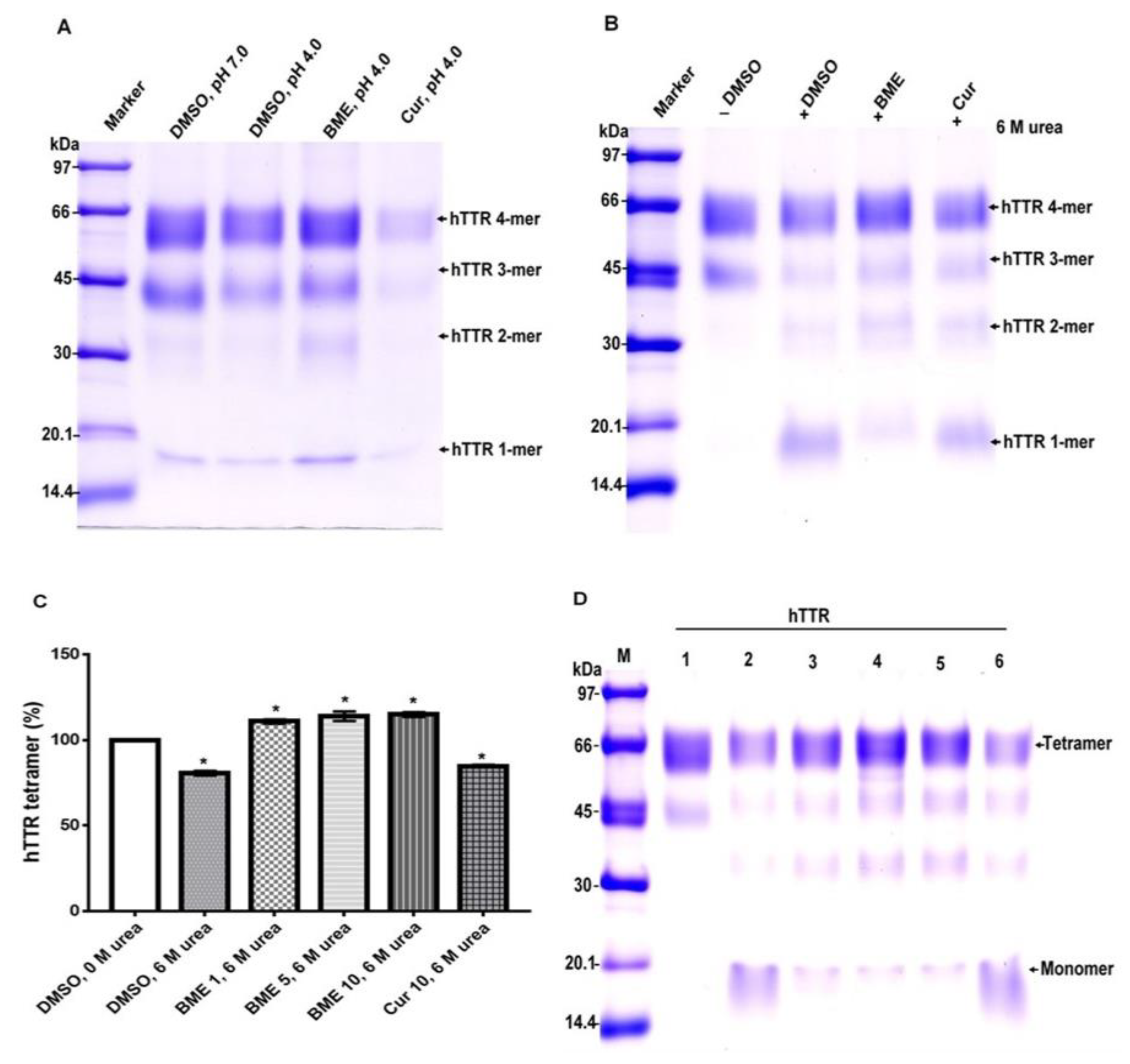 Biomolecules 09 00845 g004 Biomolecules 09 00845 g004