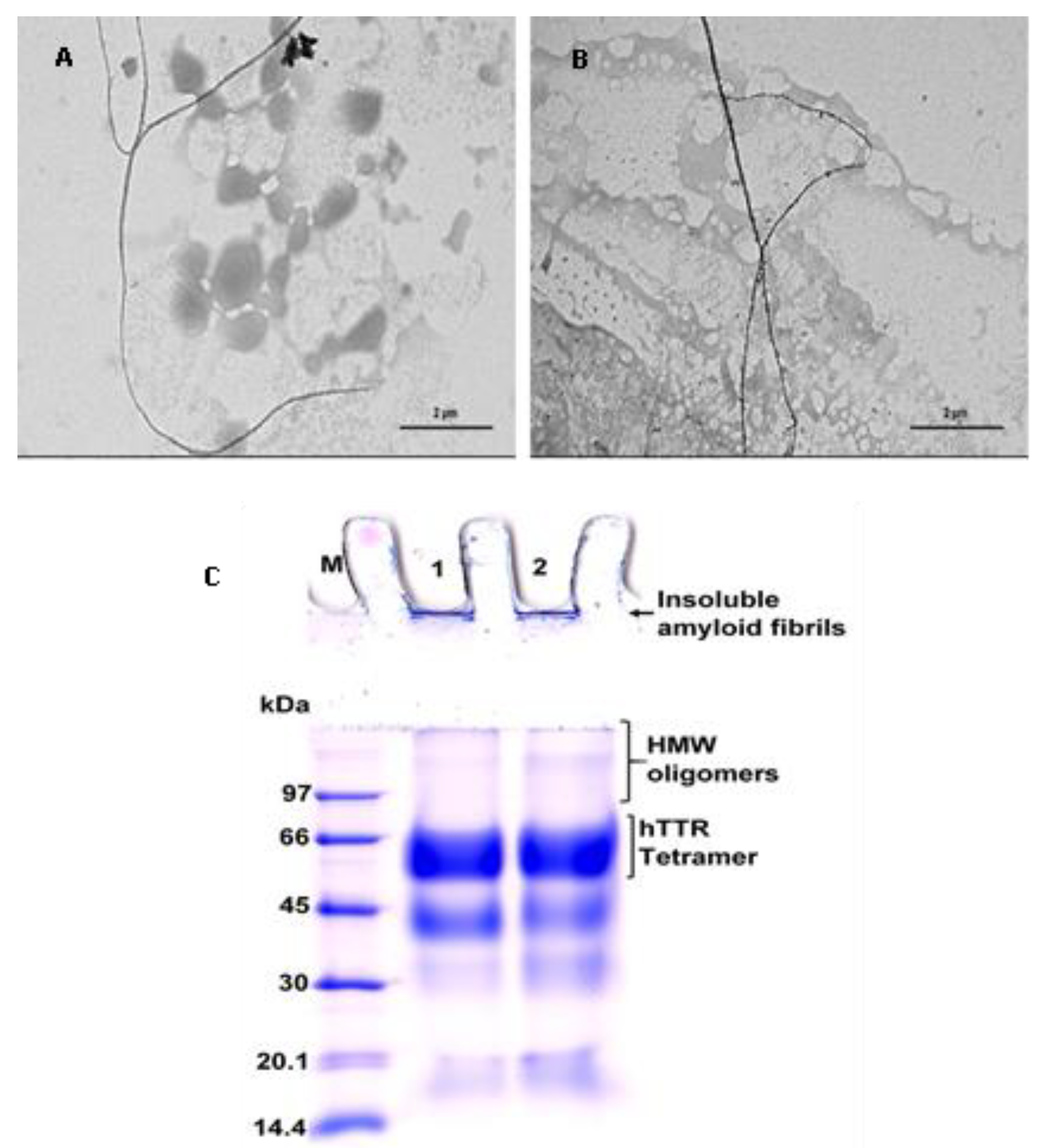 Biomolecules 09 00845 g005 Biomolecules 09 00845 g005