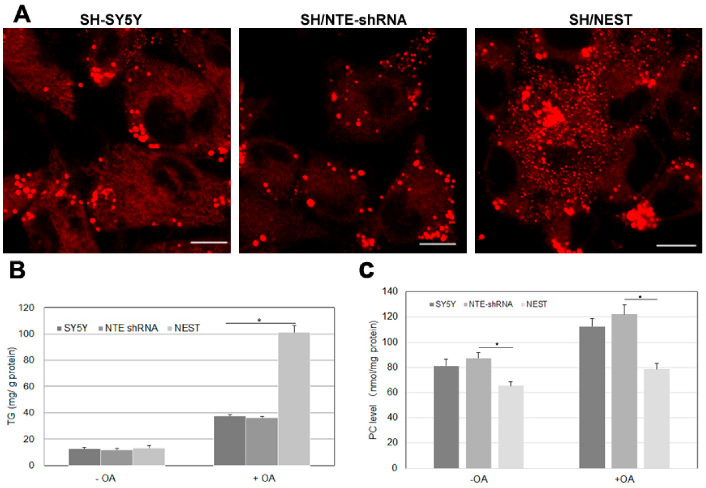 Biomolecules 09 00848 g007 Biomolecules 09 00848 g007