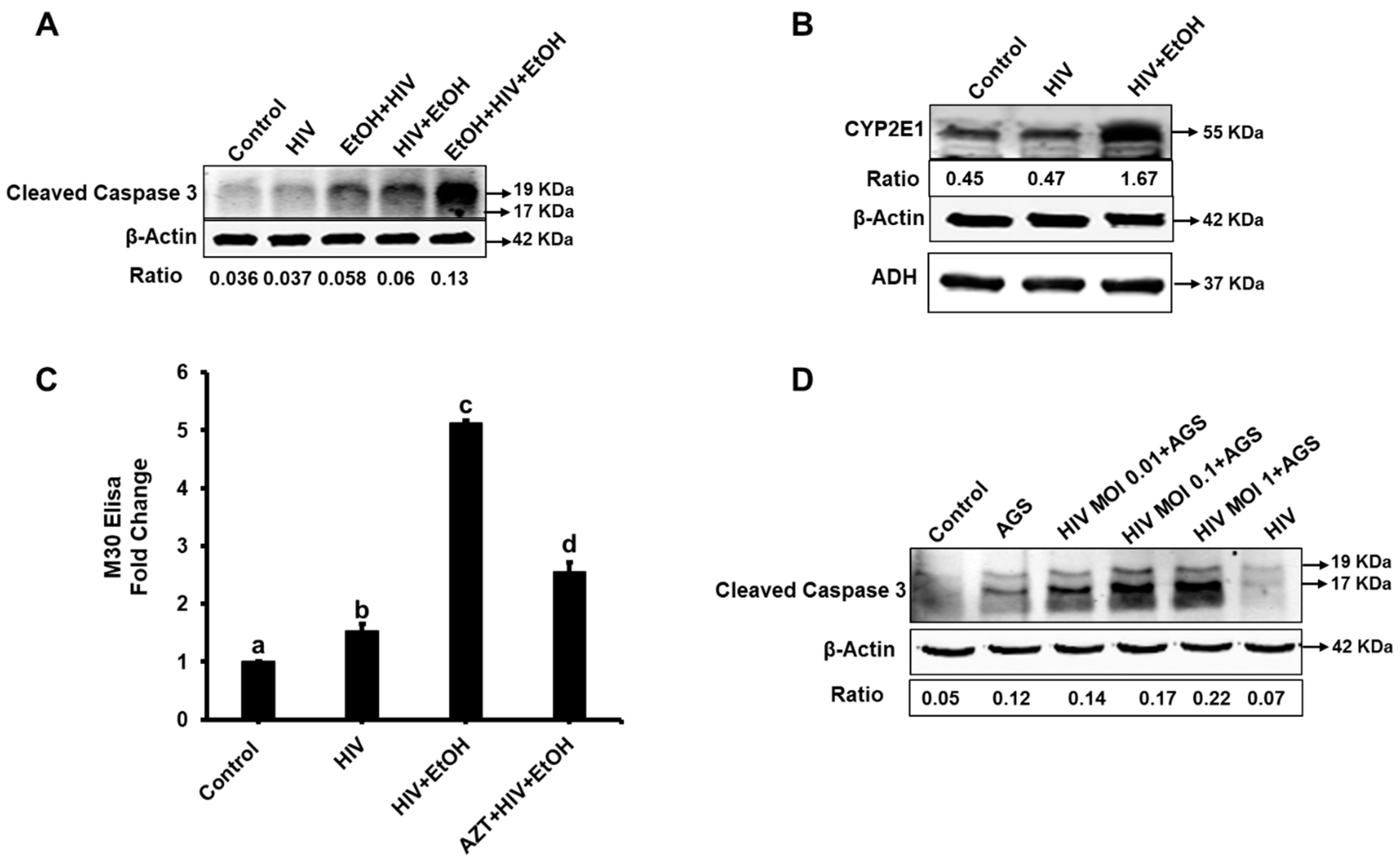 Biomolecules 09 00851 g001 Biomolecules 09 00851 g001