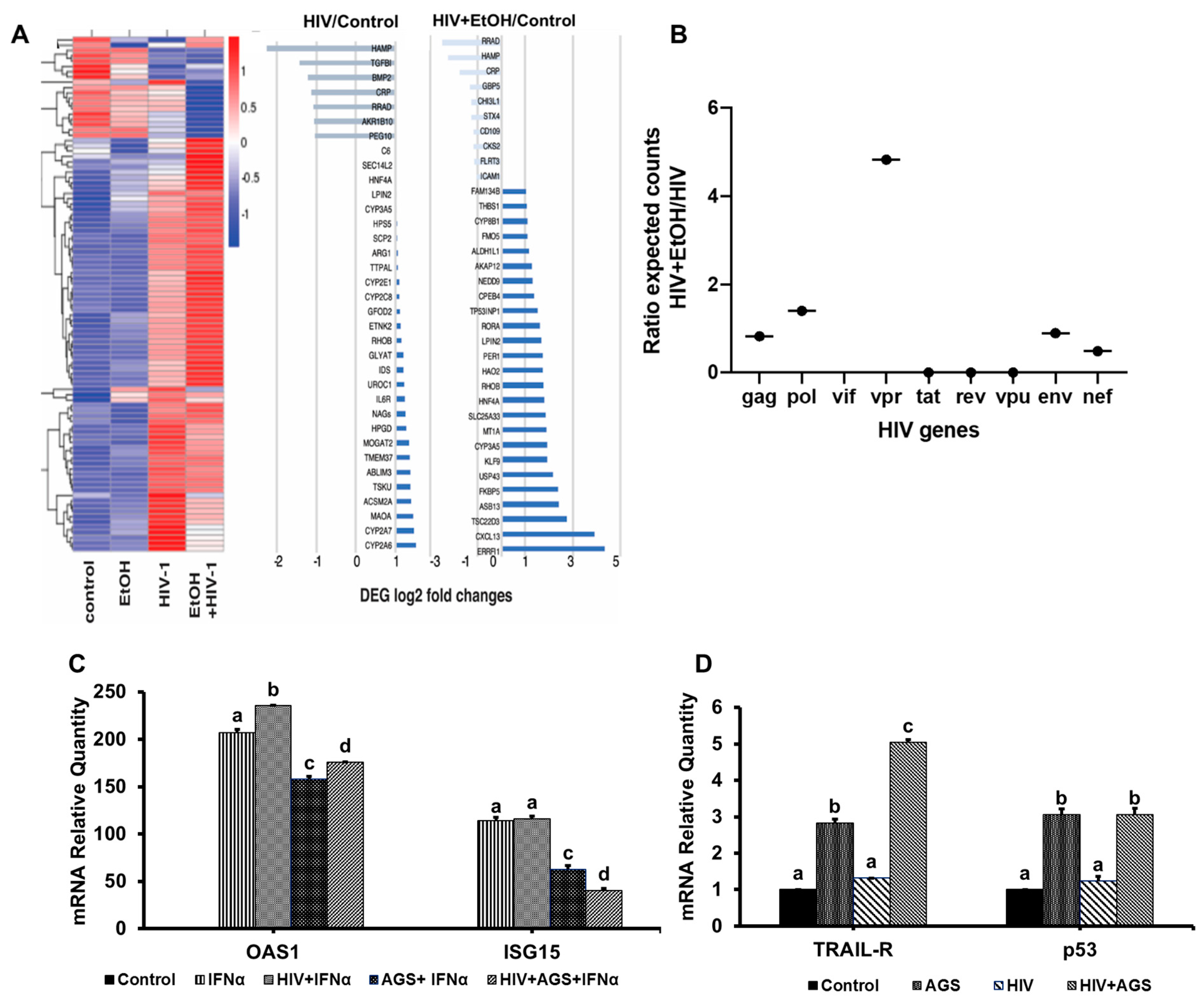Biomolecules 09 00851 g007 Biomolecules 09 00851 g007