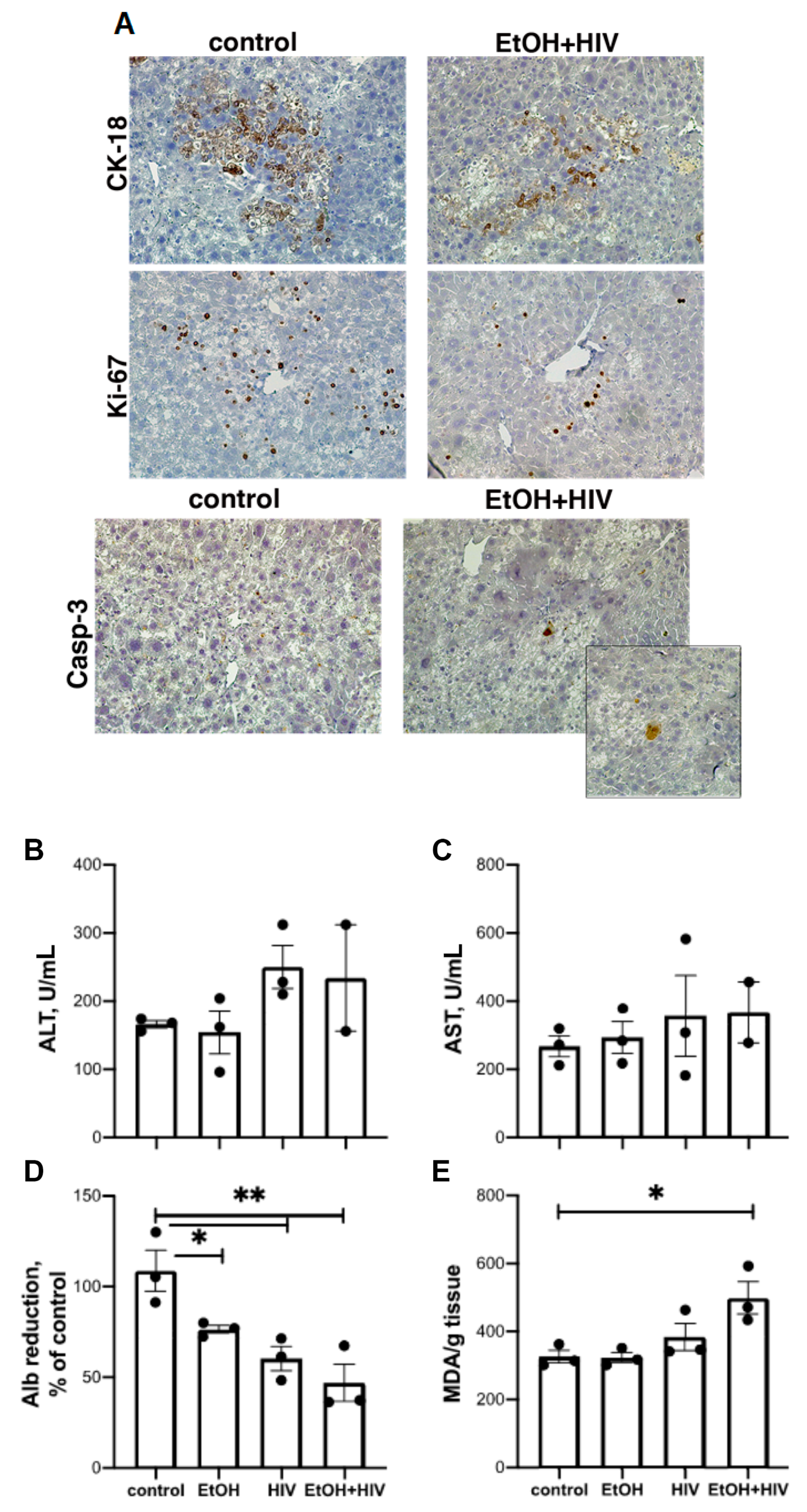 Biomolecules 09 00851 g009 Biomolecules 09 00851 g009