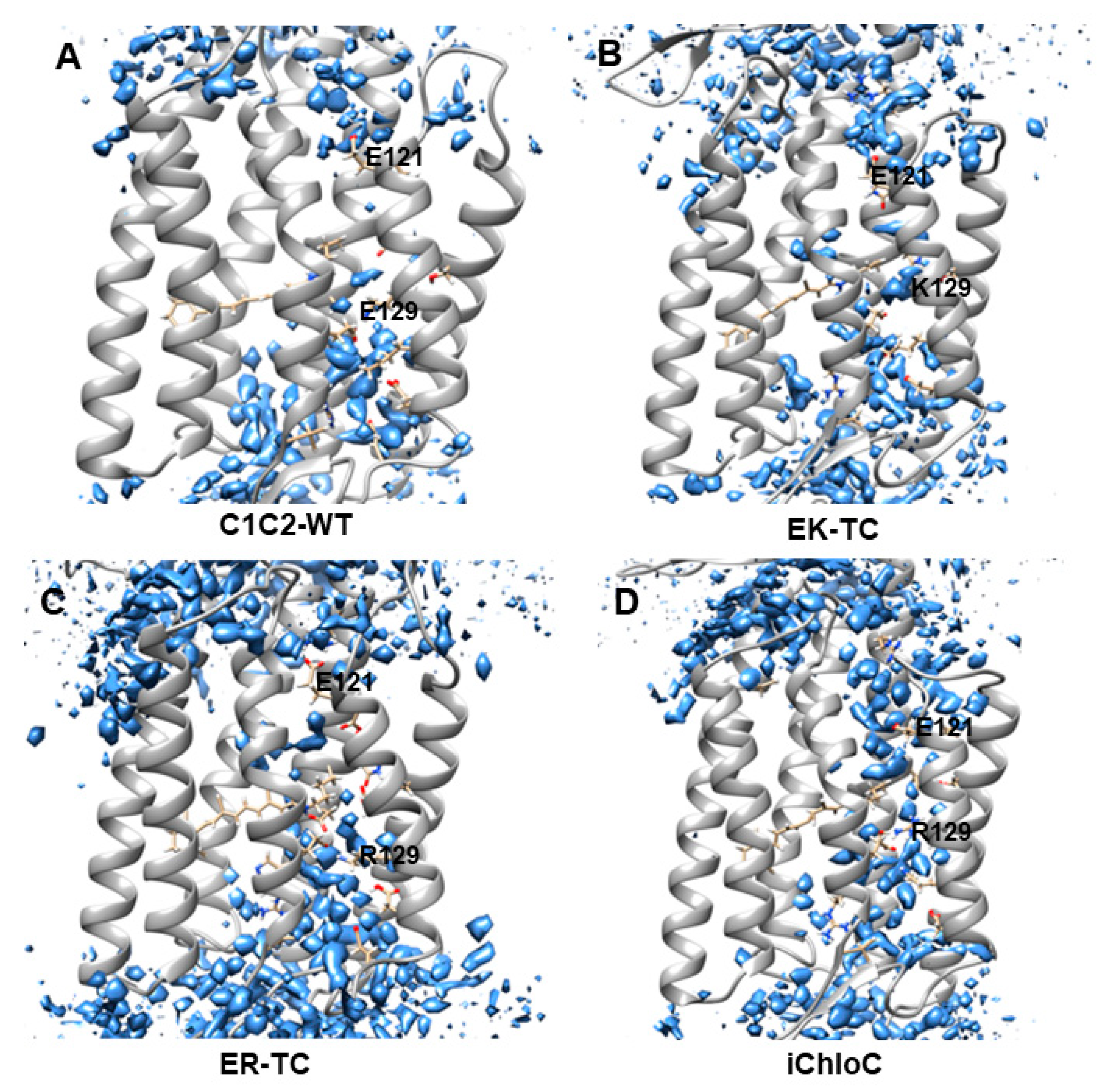 Biomolecules 09 00852 g002 Biomolecules 09 00852 g002