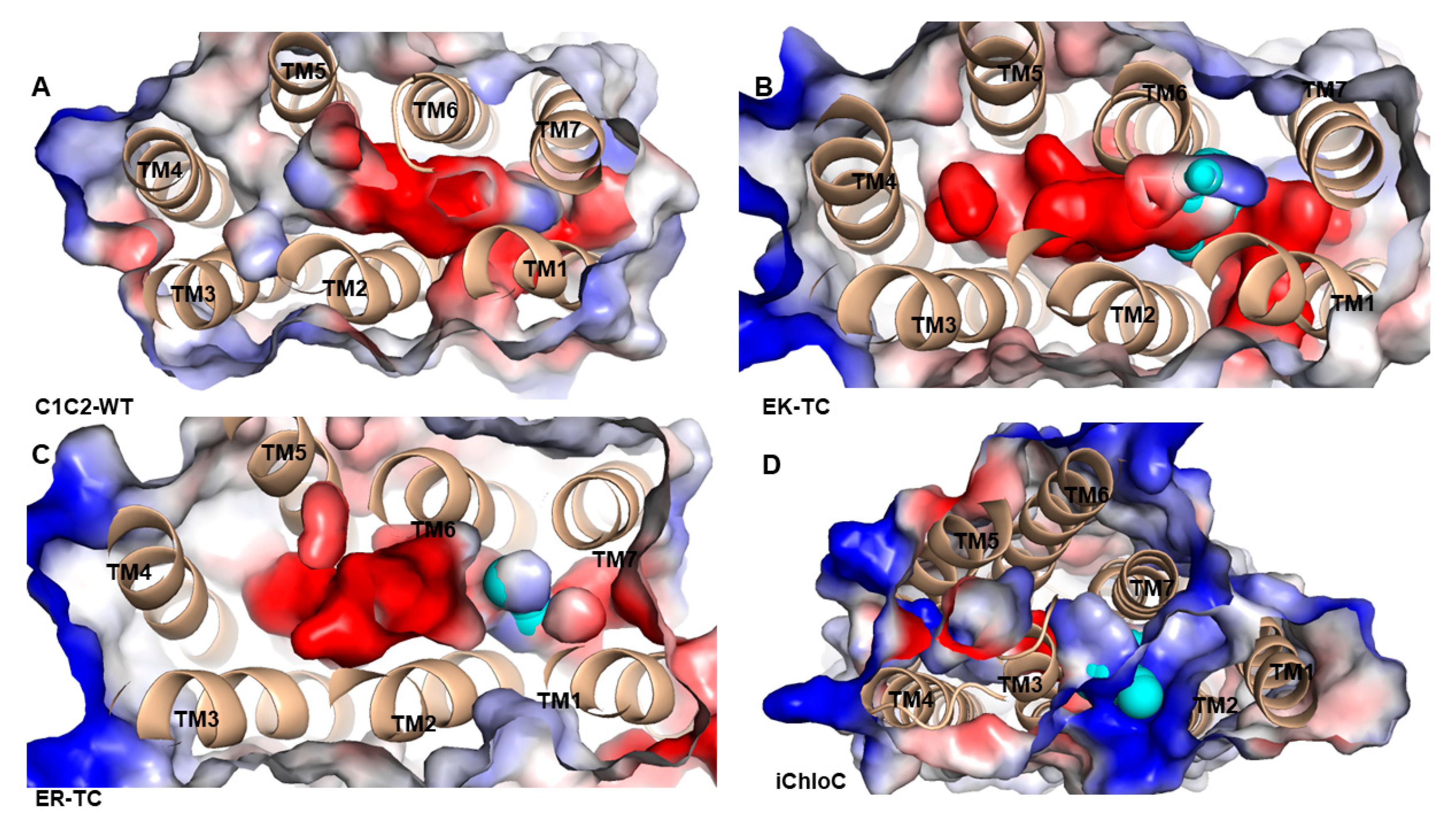 Biomolecules Free FullText Molecular Dynamics Simulation of