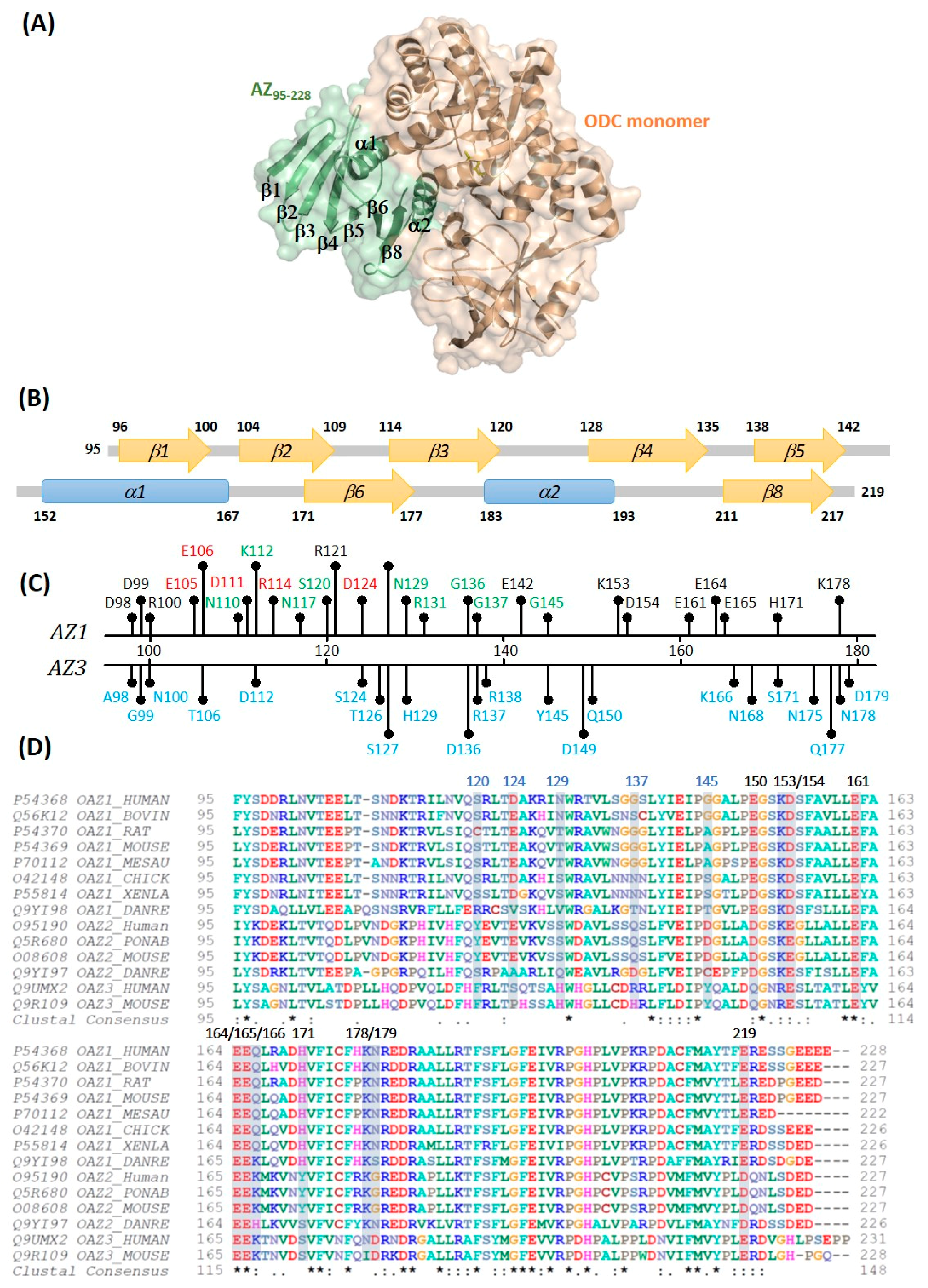 Biomolecules 09 00864 g001 Biomolecules 09 00864 g001