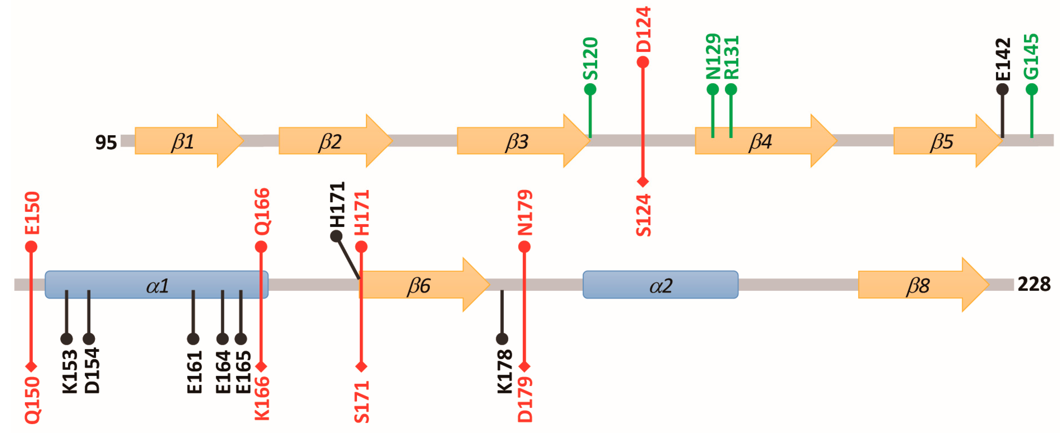 Biomolecules 09 00864 g007 Biomolecules 09 00864 g007