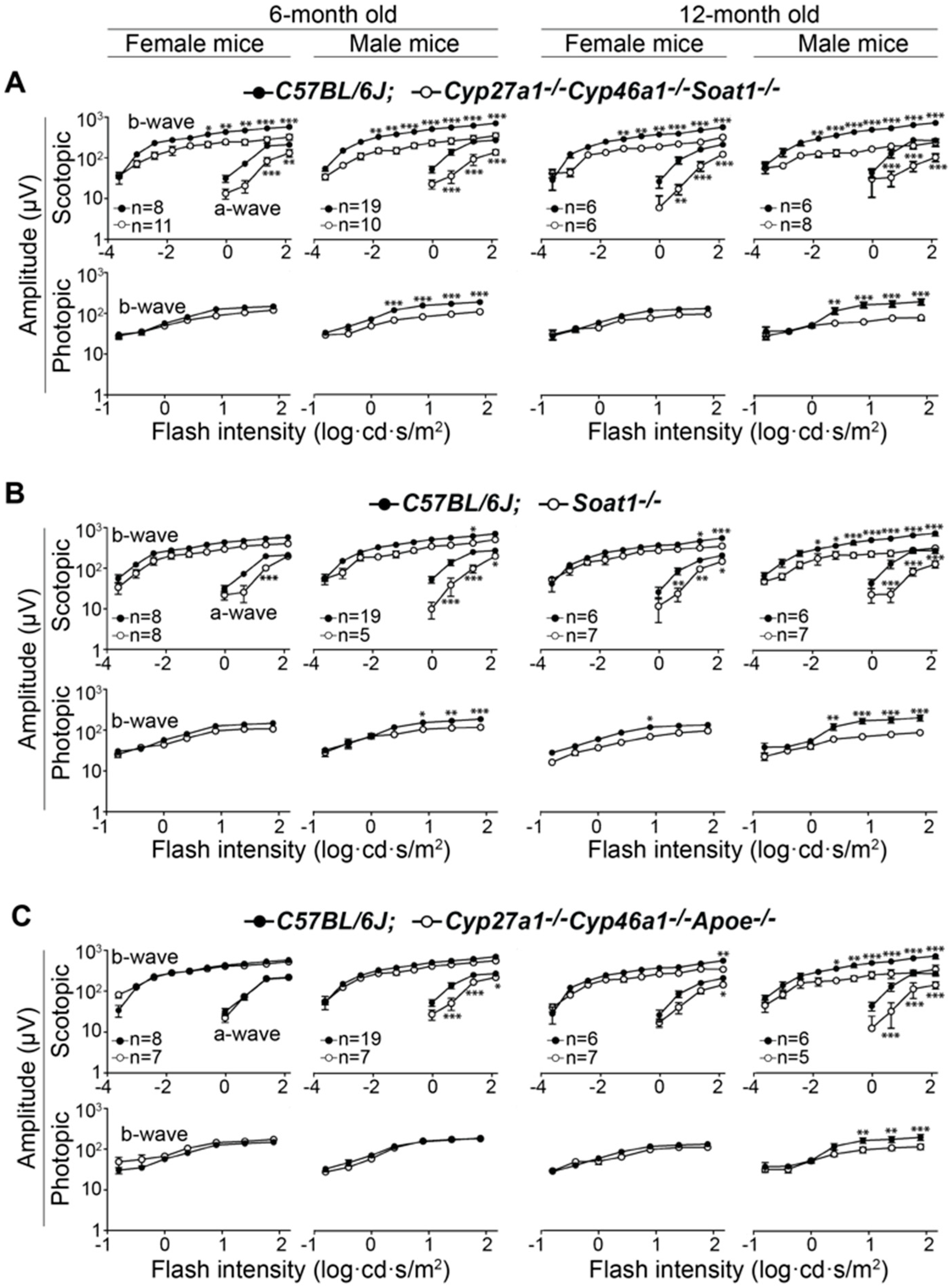 Biomolecules 09 00867 g003 Biomolecules 09 00867 g003