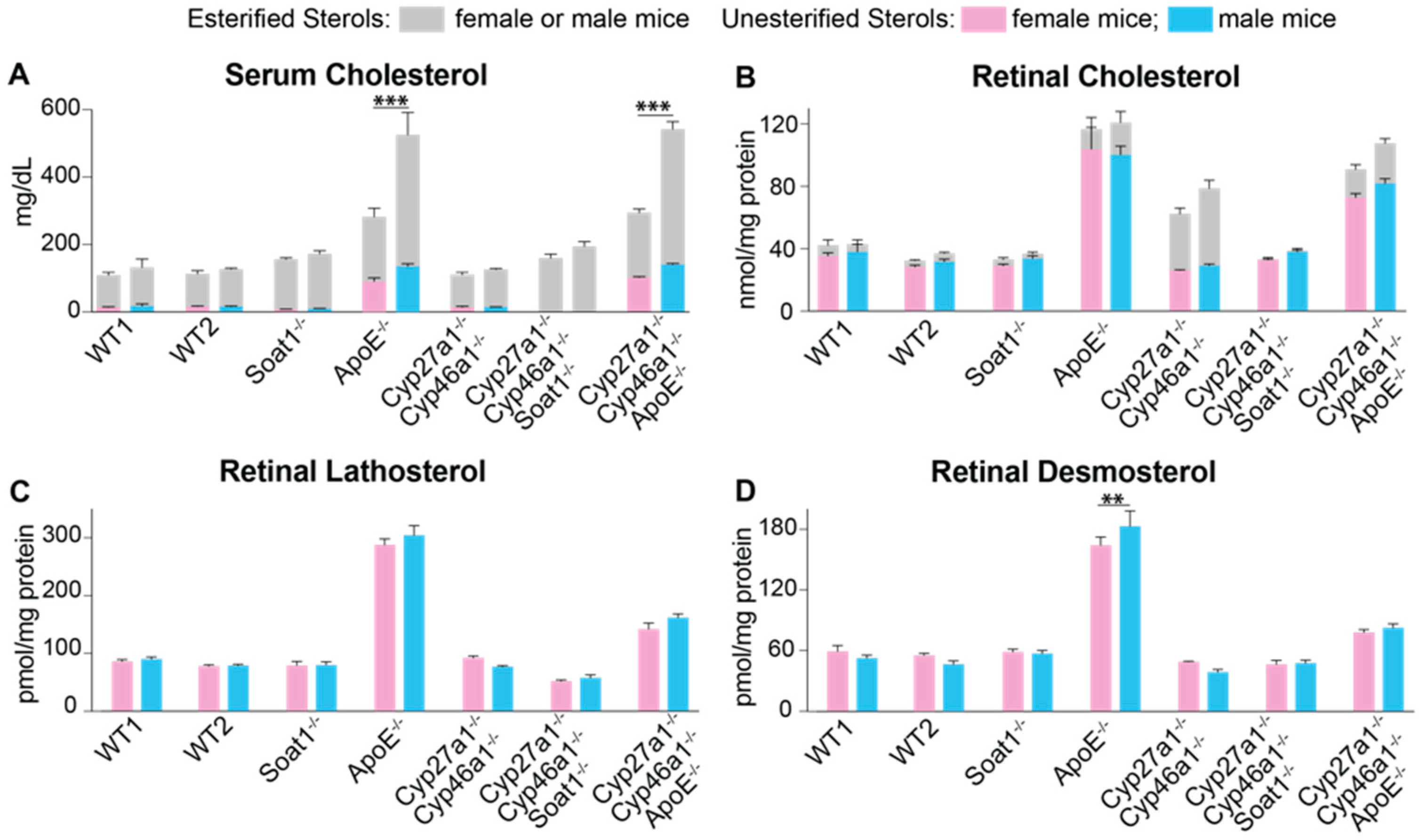 Biomolecules 09 00867 g004 Biomolecules 09 00867 g004