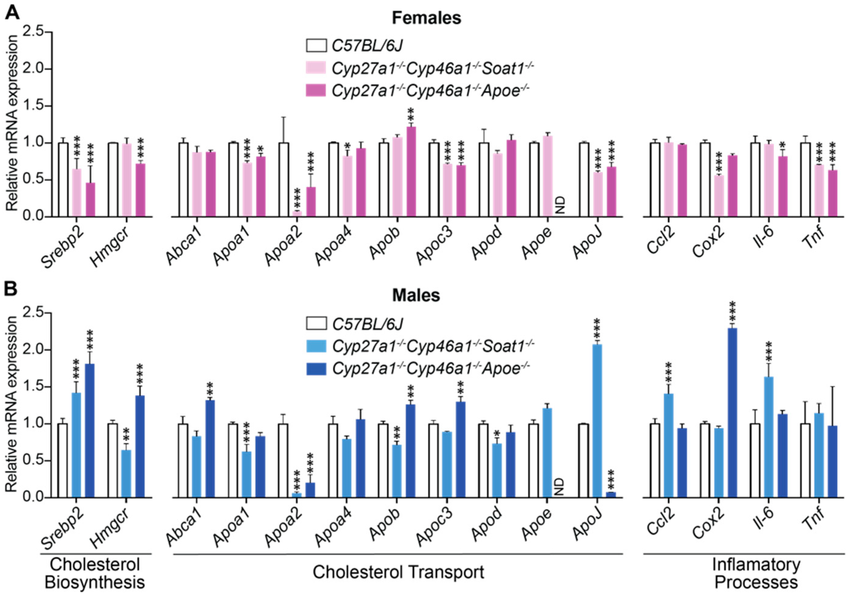 Biomolecules 09 00867 g005 Biomolecules 09 00867 g005