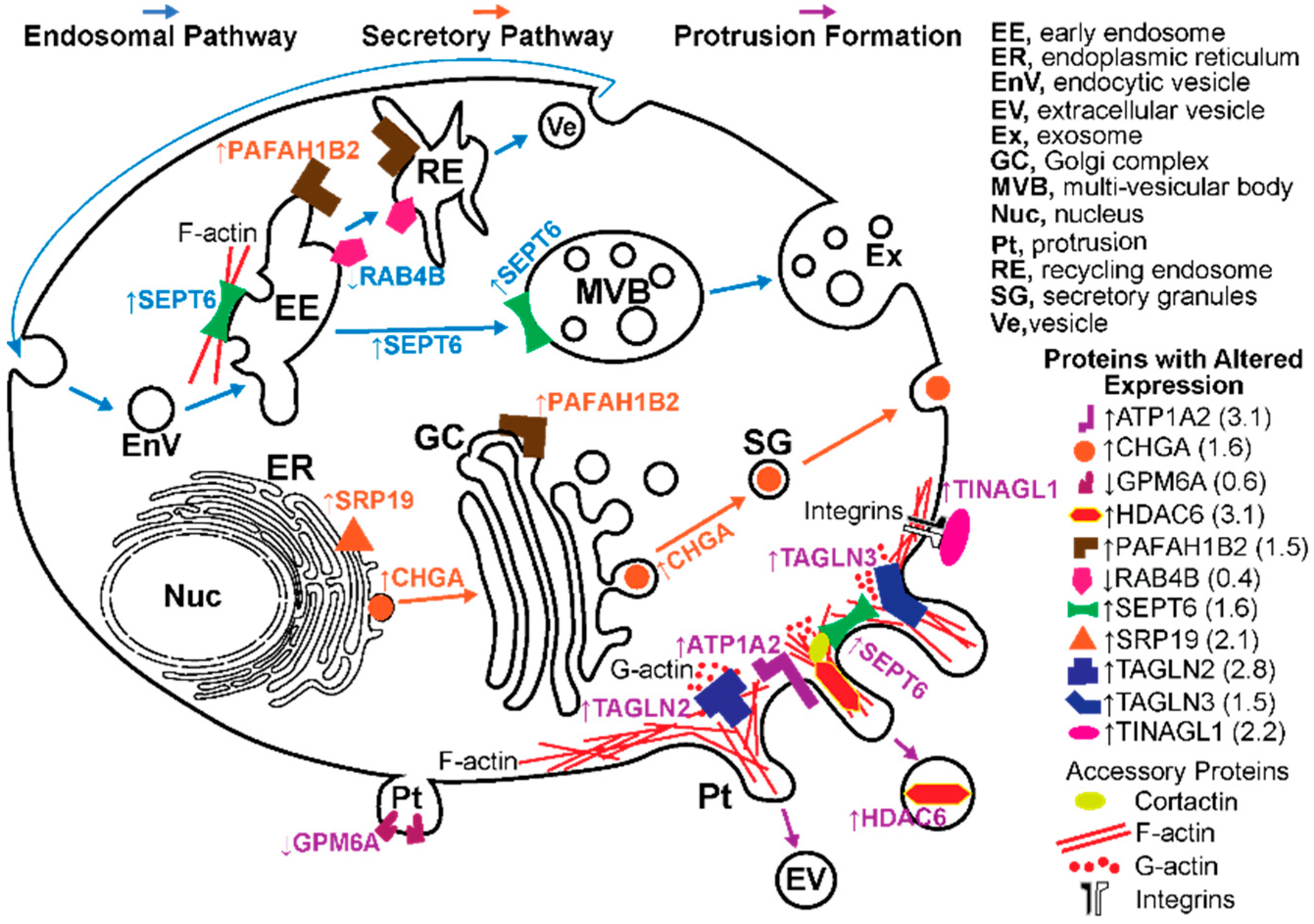 Biomolecules 09 00867 g006 Biomolecules 09 00867 g006