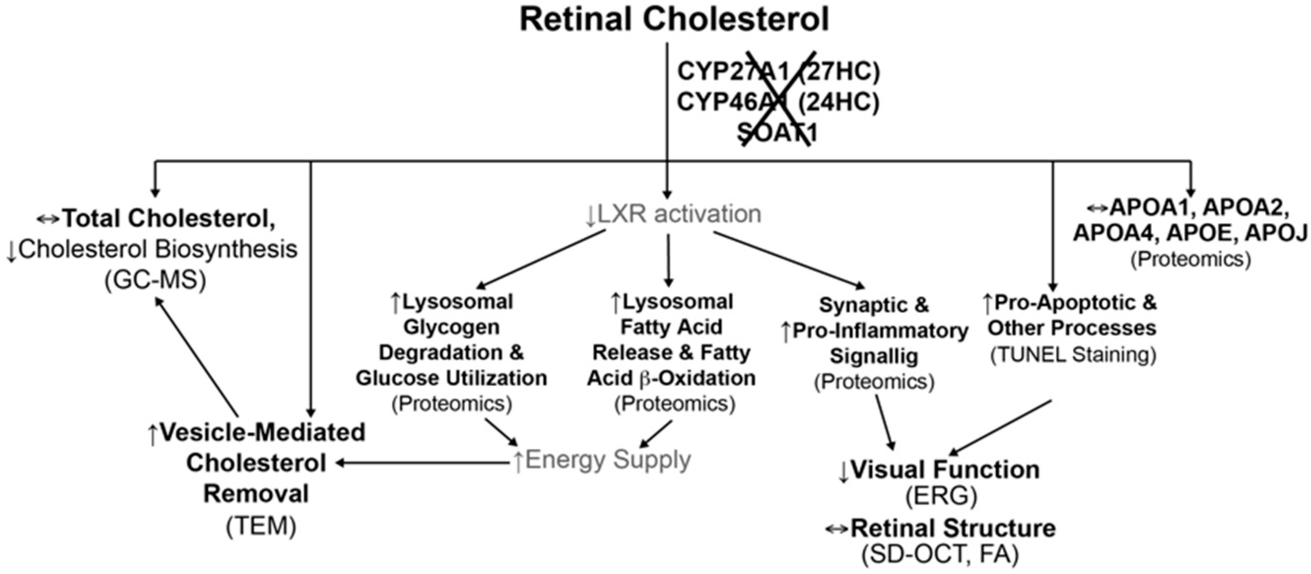 Biomolecules 09 00867 g012 Biomolecules 09 00867 g012