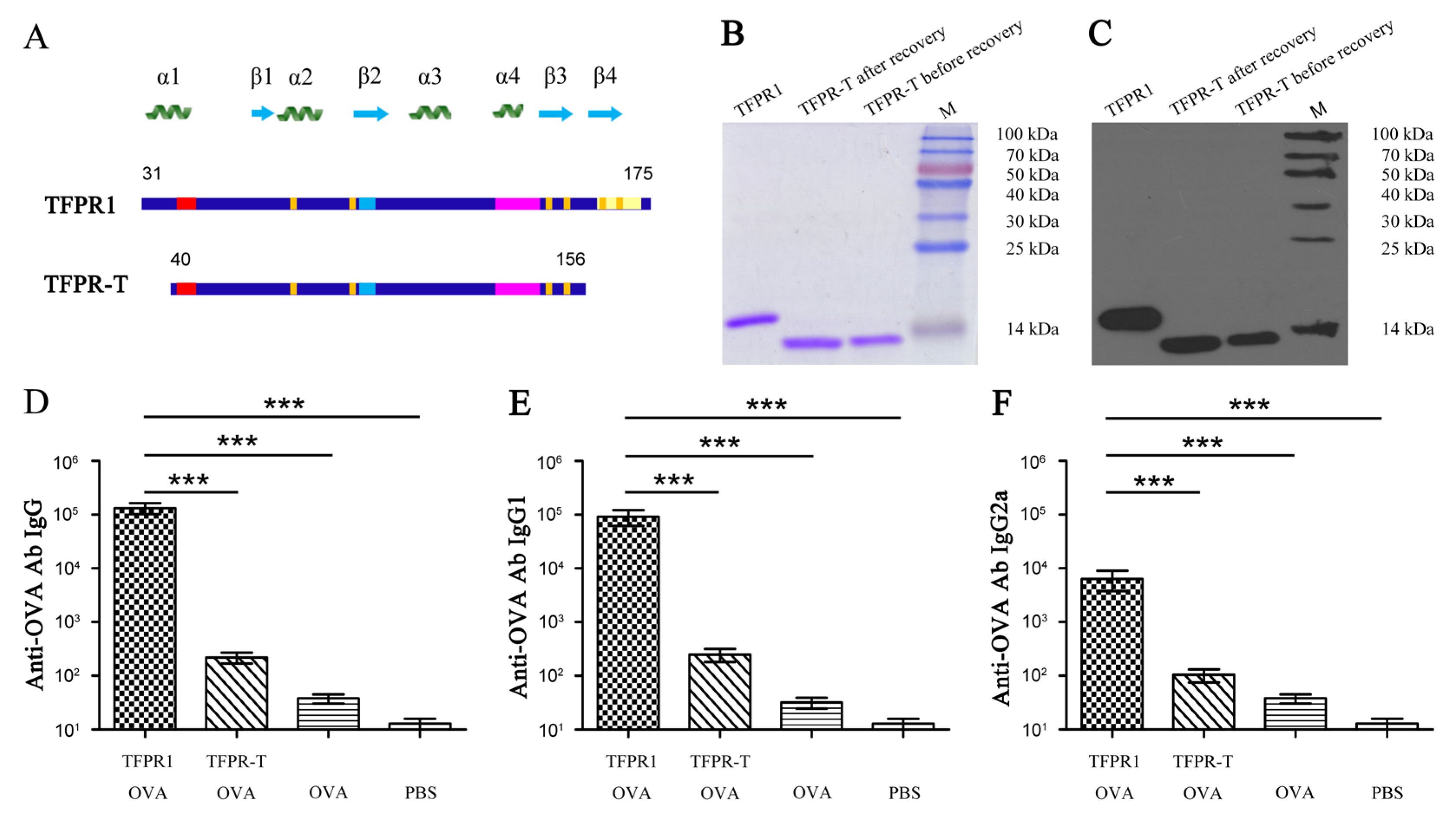 Biomolecules 09 00869 g004 Biomolecules 09 00869 g004