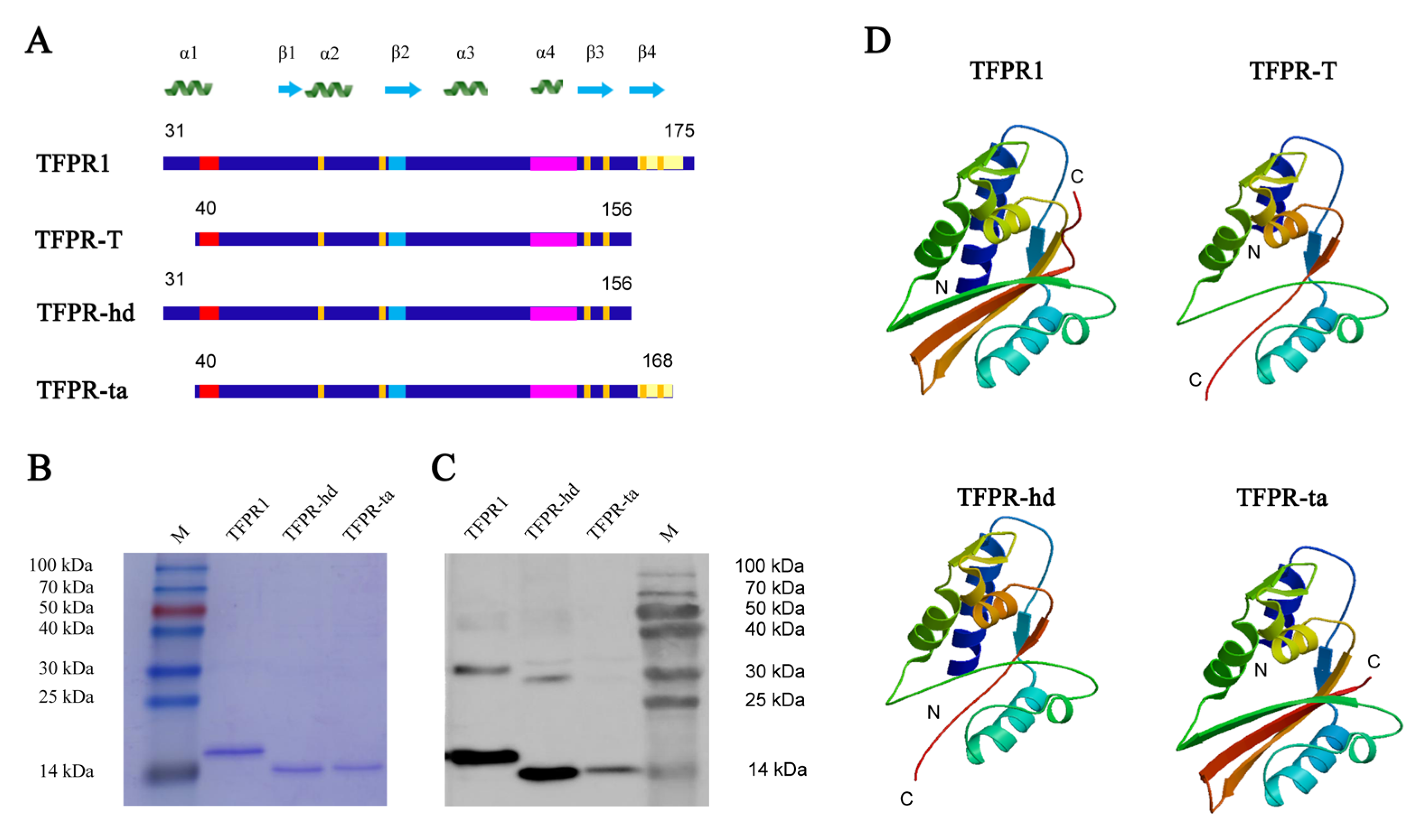 Biomolecules 09 00869 g006 Biomolecules 09 00869 g006