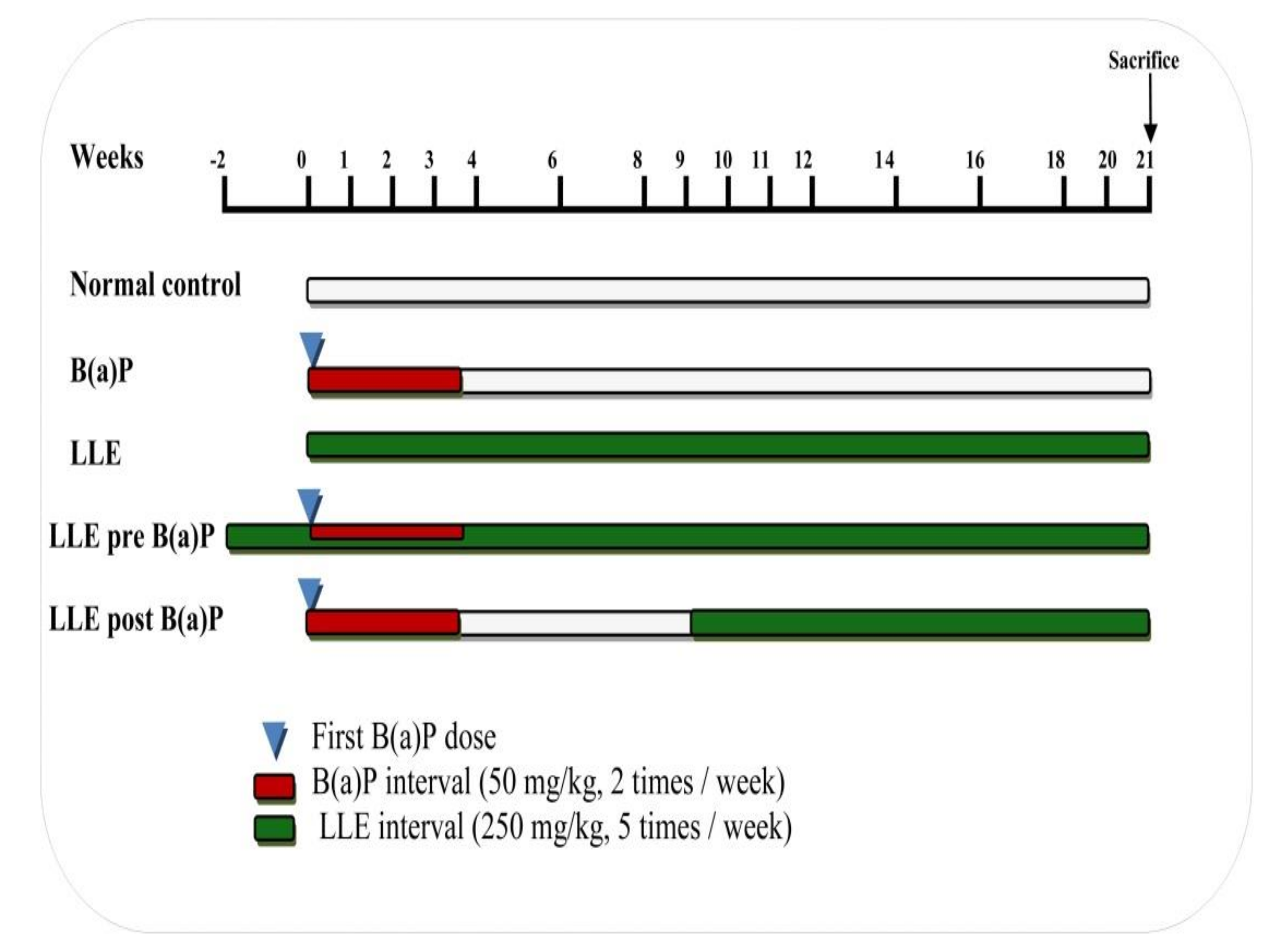Biomolecules 09 00871 g001 Biomolecules 09 00871 g001