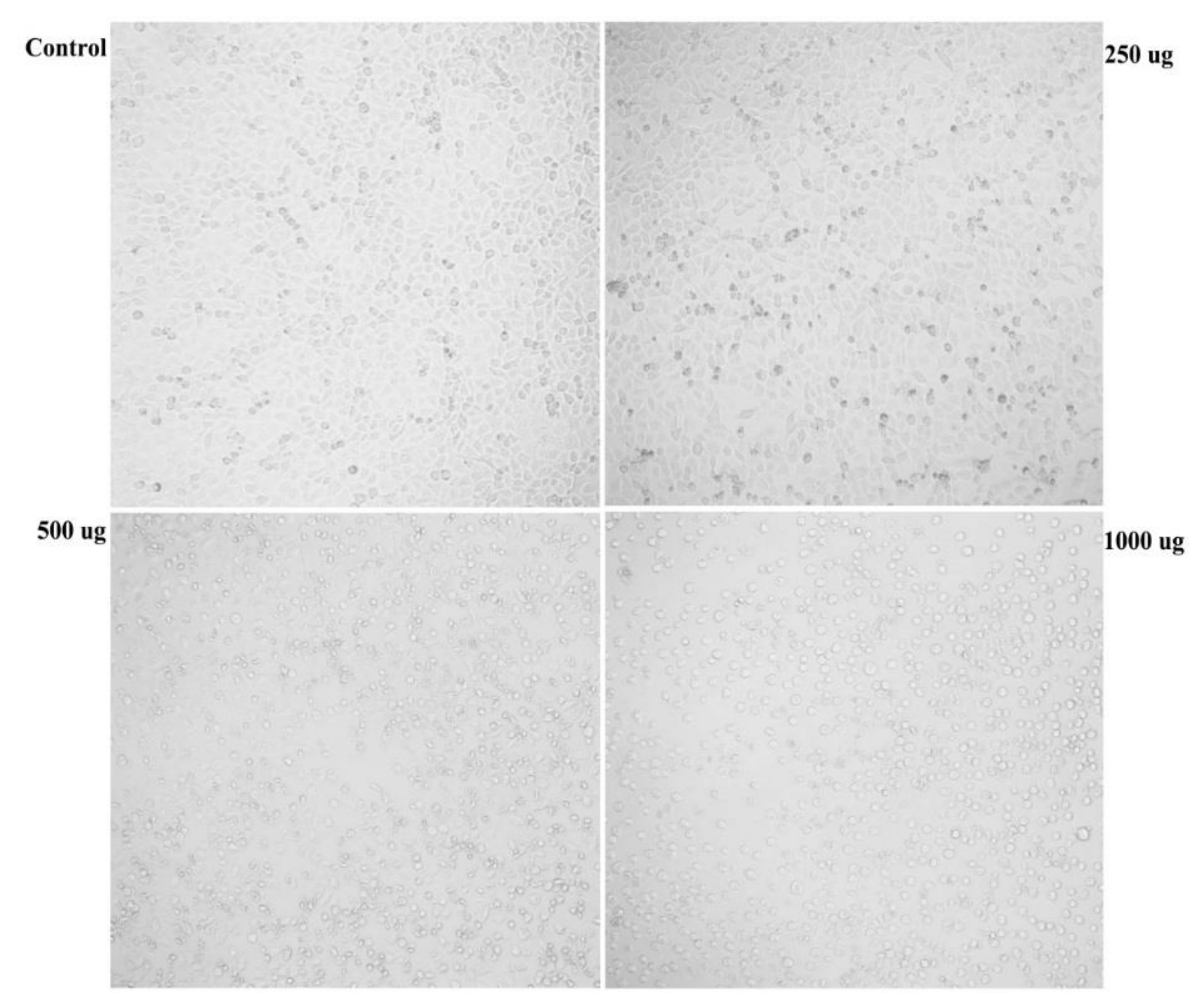 Biomolecules 09 00871 g004 Biomolecules 09 00871 g004