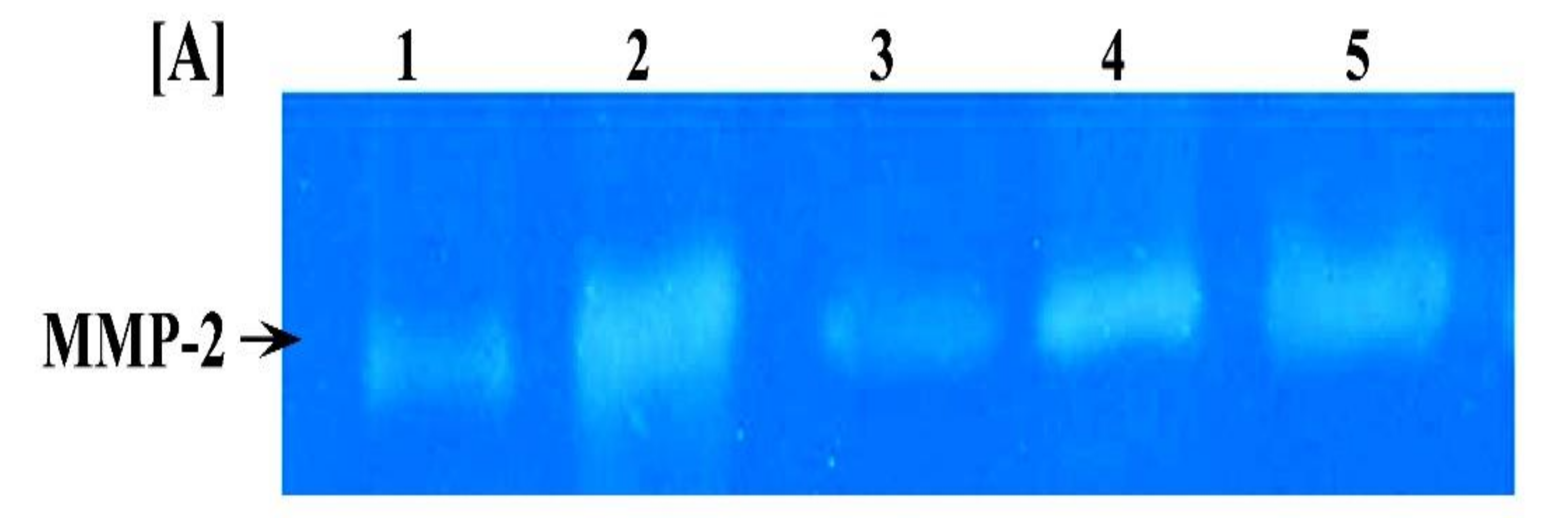 Biomolecules 09 00871 g006a Biomolecules 09 00871 g006a