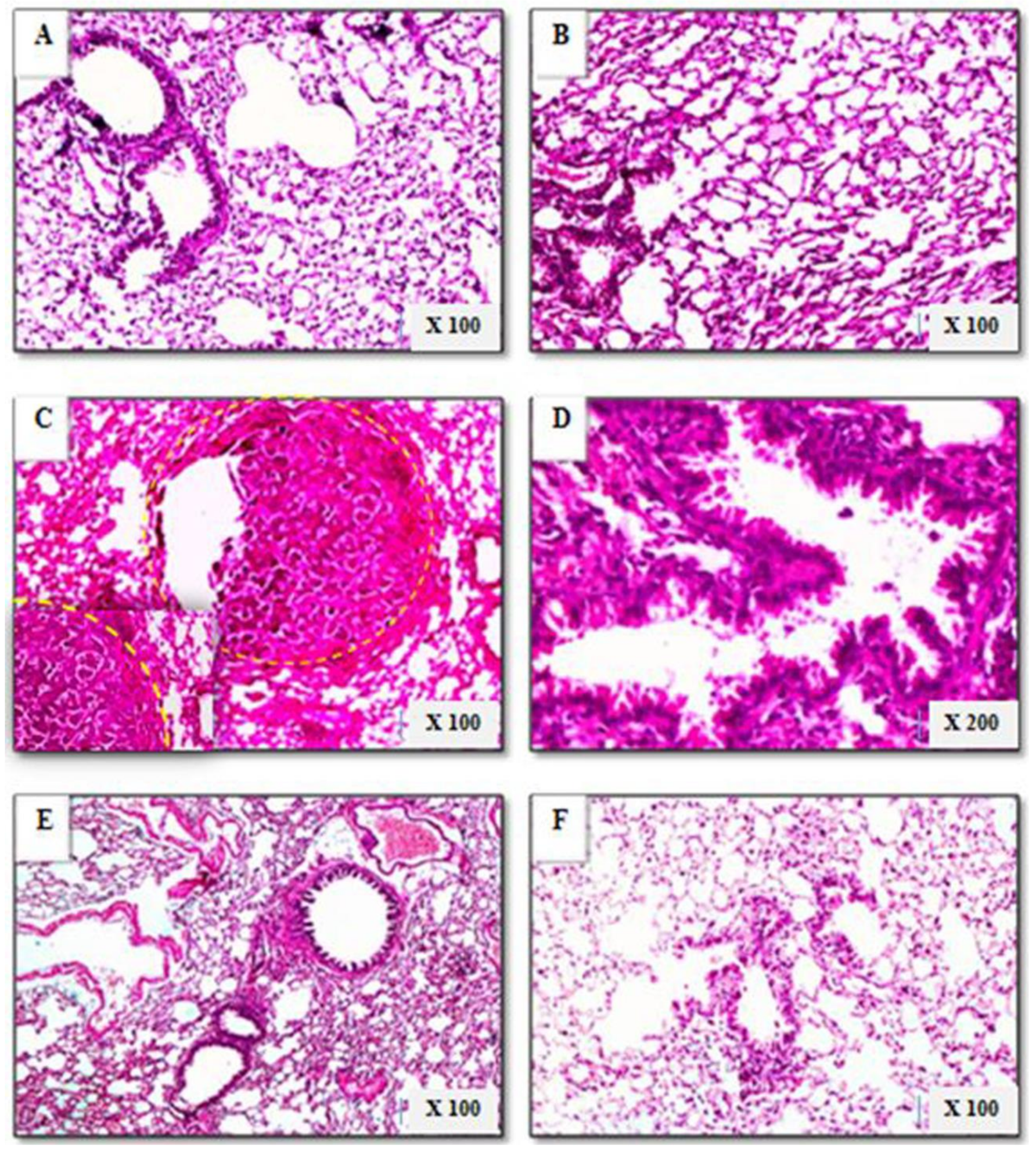 Biomolecules 09 00871 g010 Biomolecules 09 00871 g010