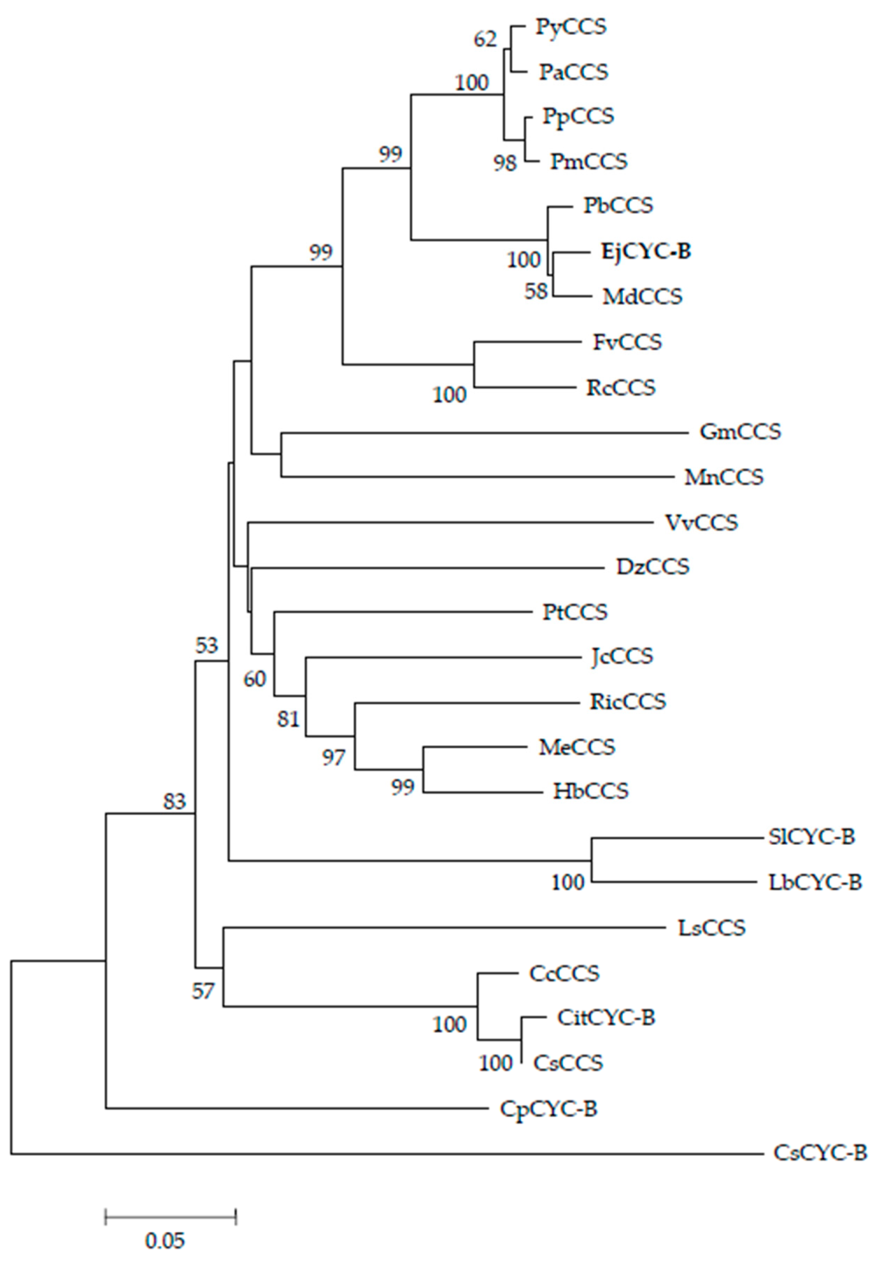 Biomolecules 09 00874 g003 Biomolecules 09 00874 g003