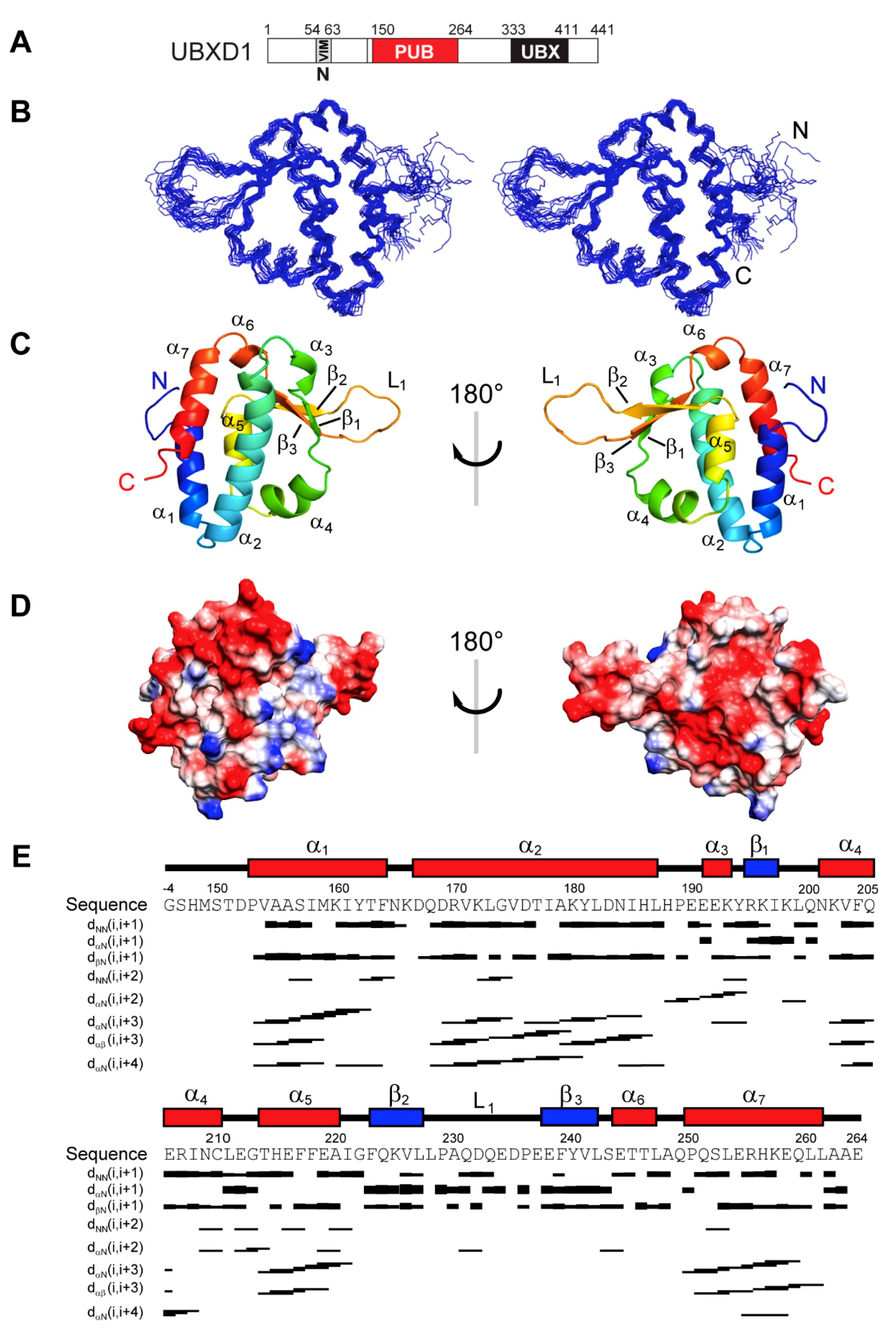 Biomolecules 09 00876 g002