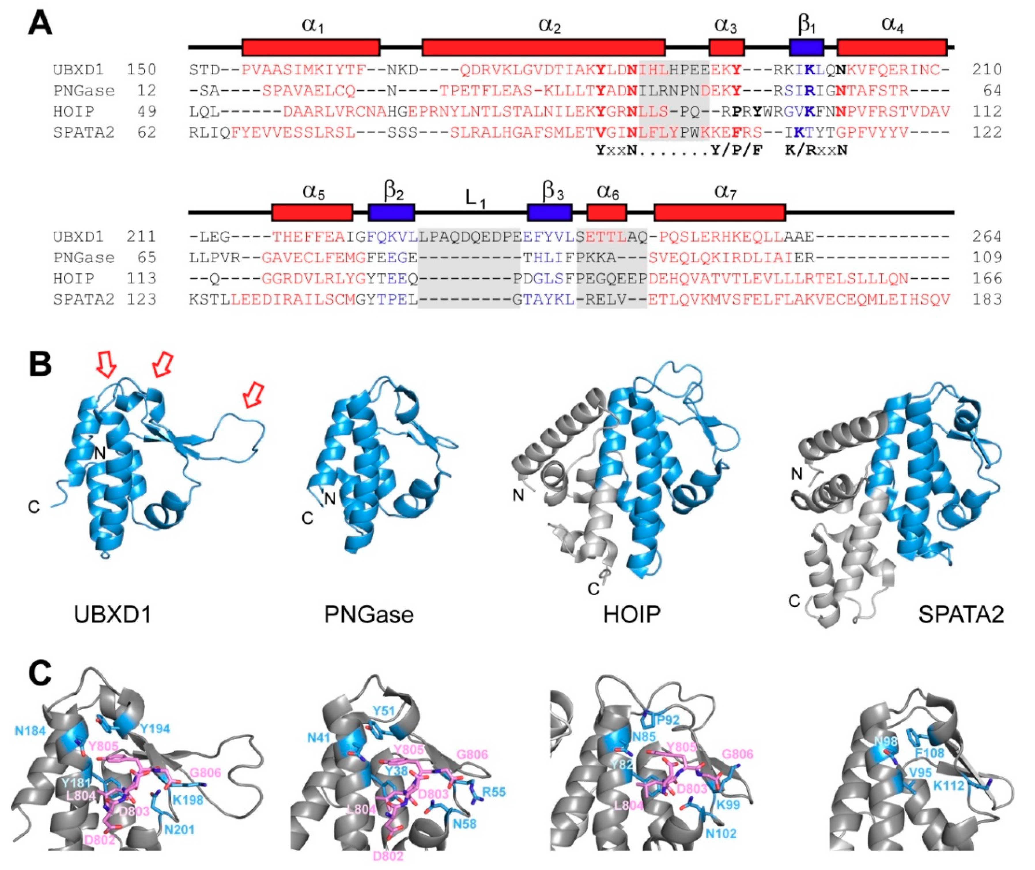 Biomolecules 09 00876 g006
