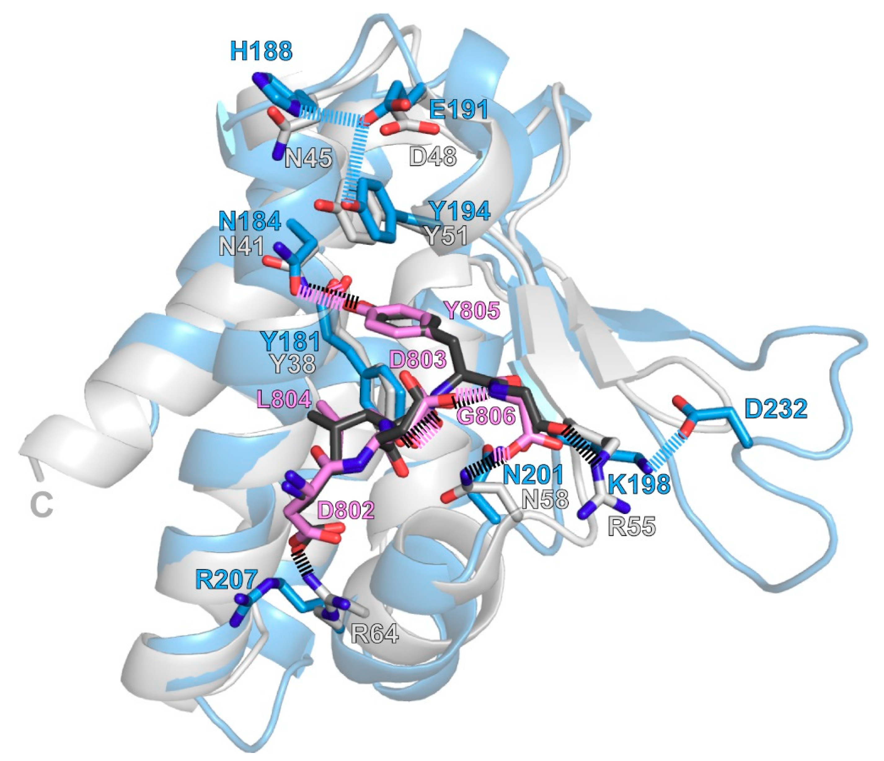 Biomolecules 09 00876 g007