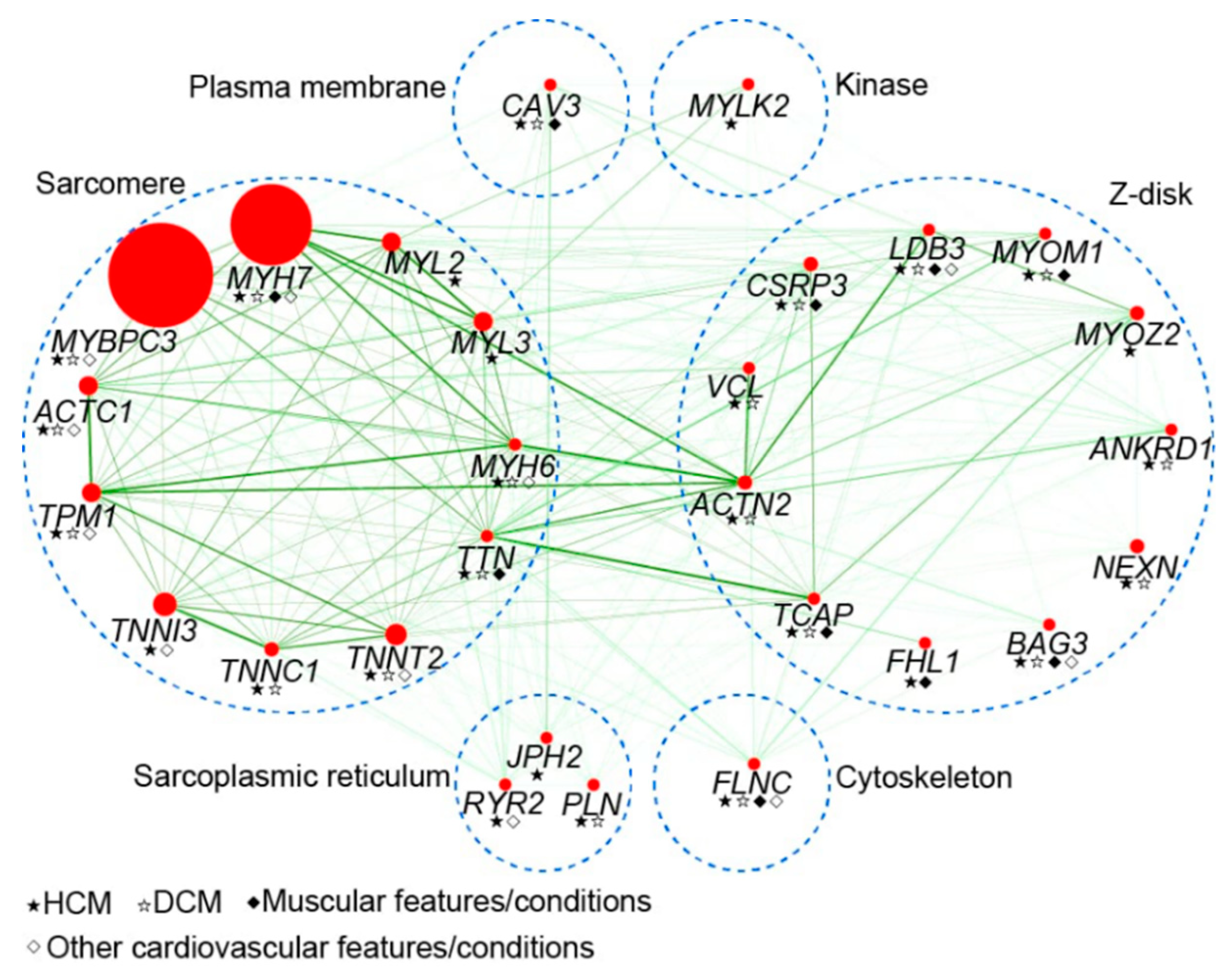 Biomolecules Free Full Text Hypertrophic Cardiomyopathy An