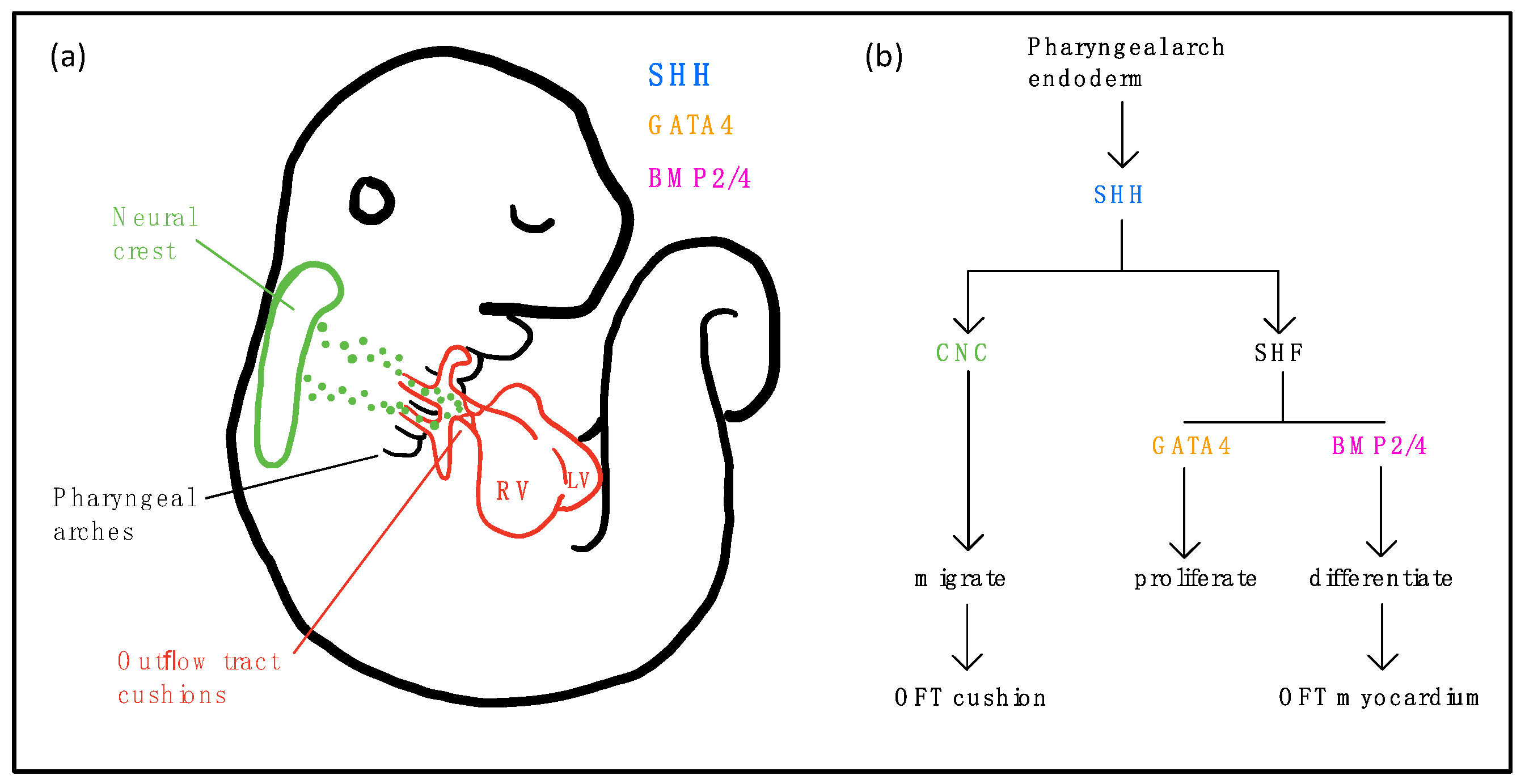 Biomolecules 09 00879 g001 Biomolecules 09 00879 g001