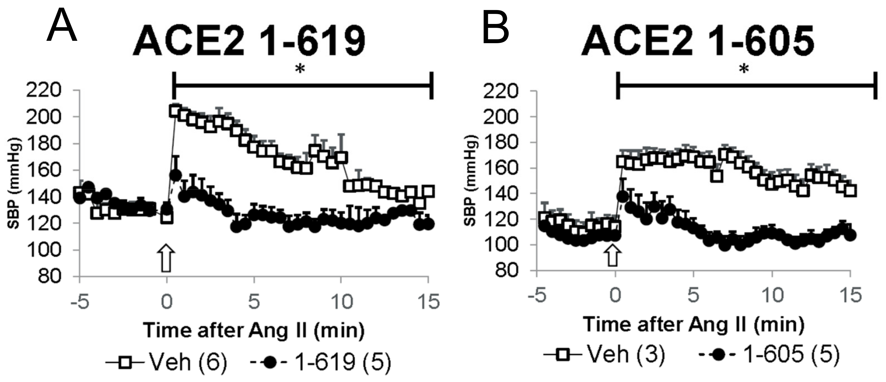 Biomolecules 09 00886 g007
