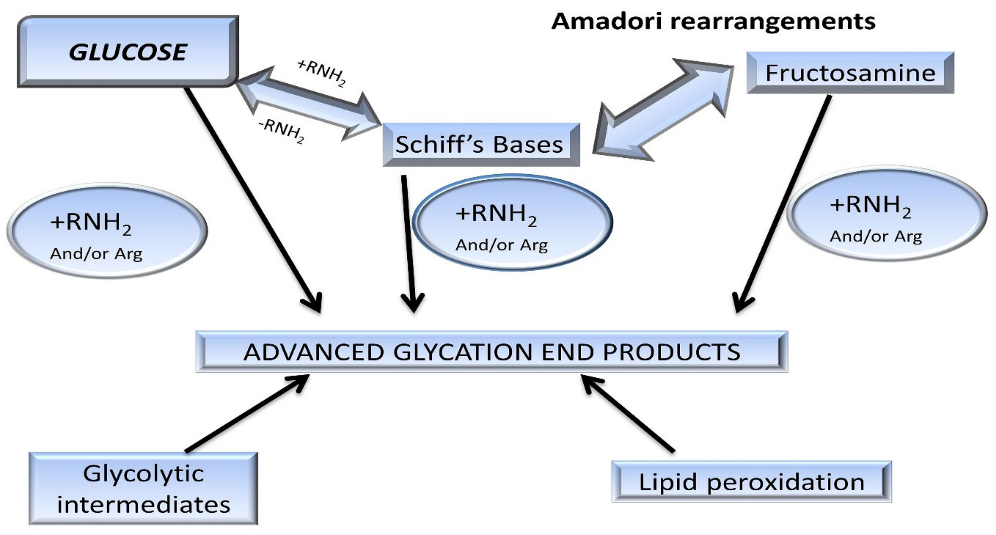 Biomolecules 09 00888 g003